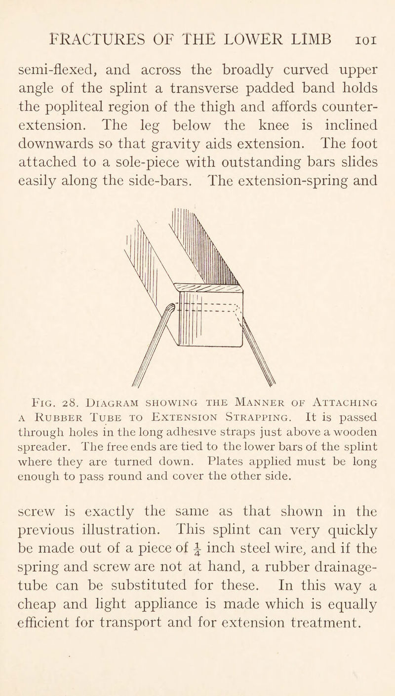 semi-flexed, and across the broadly curved upper angle of the splint a transverse padded band holds the popliteal region of the thigh and affords counter¬ extension. The leg below the knee is inclined downwards so that gravity aids extension. The foot attached to a sole-piece with outstanding bars slides easily along the side-bars. The extension-spring and Fig. 28. Diagram showing the Manner of Attaching a Rubber Tube to Extension Strapping. It is passed through holes in the long adhesive straps just above a wooden spreader. The free ends are tied to the lower bars of the splint where they are turned down. Plates applied must be long enough to pass round and cover the other side. screw is exactly the same as that shown in the previous illustration. This splint can very quickly be made out of a piece of a inch steel wire, and if the spring and screw are not at hand, a rubber drainage- tube can be substituted for these. In this way a cheap and light appliance is made which is equally efficient for transport and for extension treatment.