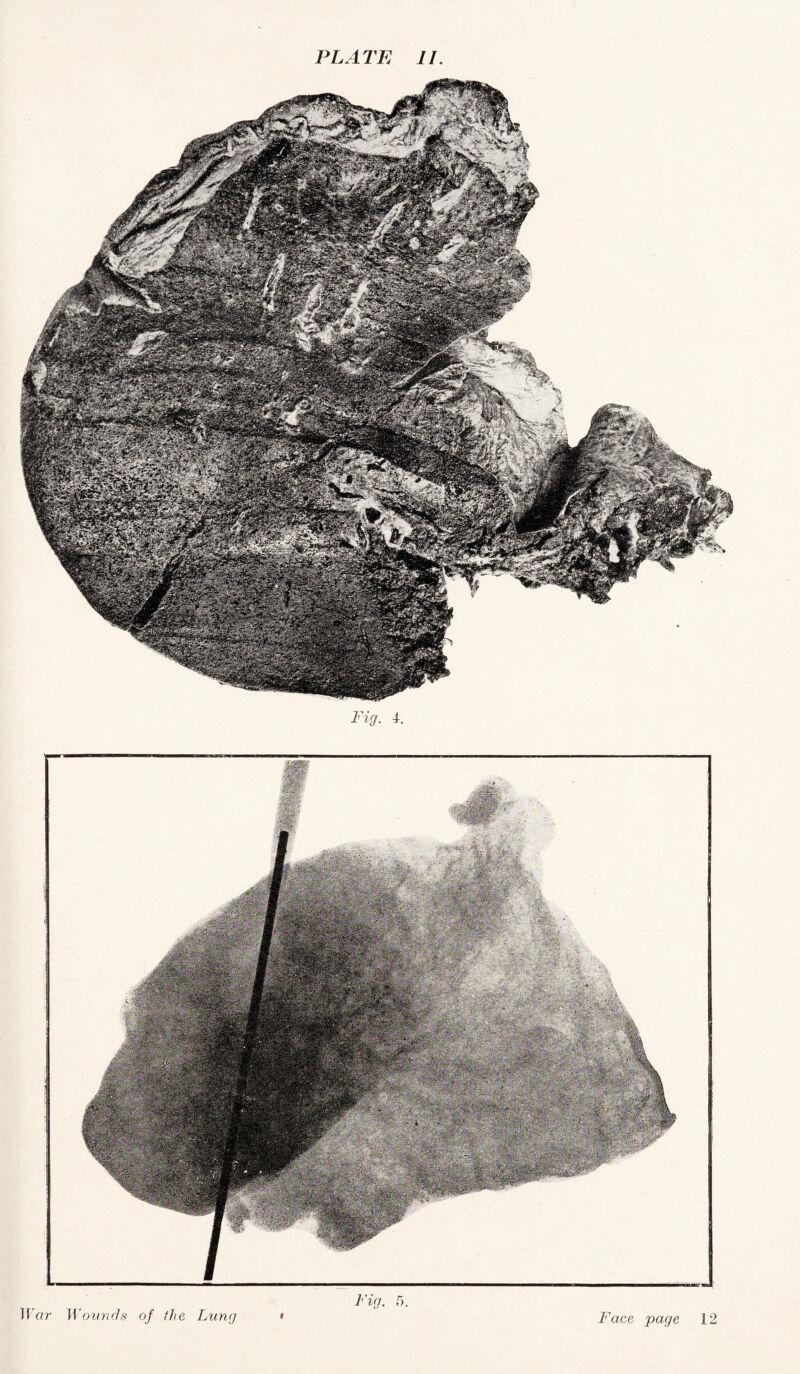 Fig. 1. Fig. 5