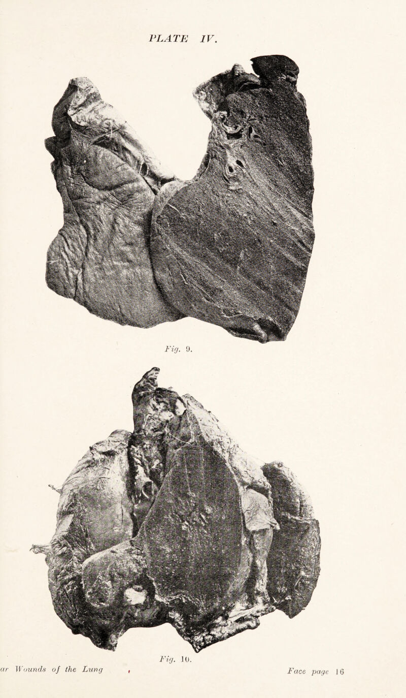 Fig. 10.
