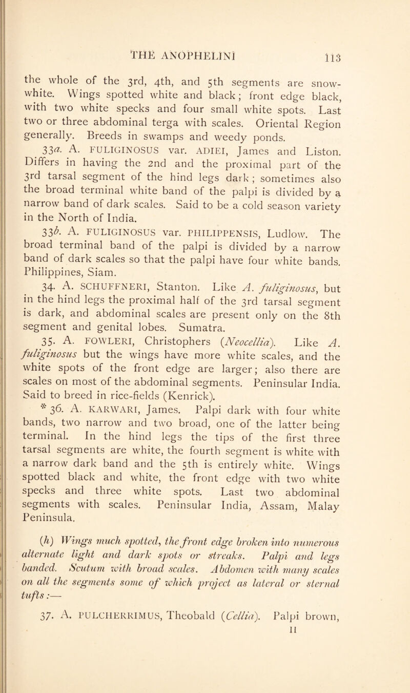 the whole of the 3rd, 4th, and 5th segments are snow- white. Wings spotted white and black; front edge black, with two white specks and four small white spots. Last two or three abdominal terga with scales. Oriental Region generally. Breeds in swamps and weedy ponds. 33a- A. FULIGINOSUS var. ADIEI, James and Liston. Differs in having the 2nd and the proximal part of the 3rd tarsal segment of the hind legs dark; sometimes also the broad terminal white band of the palpi is divided by a narrow band of dark scales. Said to be a cold season variety in the North of India. 33A A. FULIGINOSUS var. PHILIPPENSIS, Ludlow. The broad teiminal band of the palpi is divided by a narrow band of dark scales so that the palpi have four white bands. Philippines, Siam. 34. A. SCHUFFNERI, Stanton. Like A. fuliginosus, but in the hind legs the proximal half of the 3rd tarsal segment is dark, and abdominal scales are present only on the 8th segment and genital lobes. Sumatra. 35. A. FOWLERI, Christophers (.Neocellia). Like A. fuliginosus but the wings have more white scales, and the white spots of the front edge are larger; also there are scales on most of the abdominal segments. Peninsular India. Said to breed in rice-fields (Kenrick). * 3b. A. KARWARI, James. Palpi dark with four white bands, two narrow and two broad, one of the latter being terminal. In the hind legs the tips of the first three tarsal segments are white, the fourth segment is white with a narrow dark band and the 5th is entirely white. Wings spotted black and white, the front edge with two white specks and three white spots. Last two abdominal segments with scales. Peninsular India, Assam, Malay Peninsula. (Ji) Wings much spotted, the front edge broken into numerous alternate light and dark spots or streaks. Palpi and legs banded. Scutum with broad scales. Abdomen with many scales on all the segments some of which project as lateral or sternal tufts:— 37. A. PULCIIERRIMUS, Theobald (Cellia). Palpi brown, II