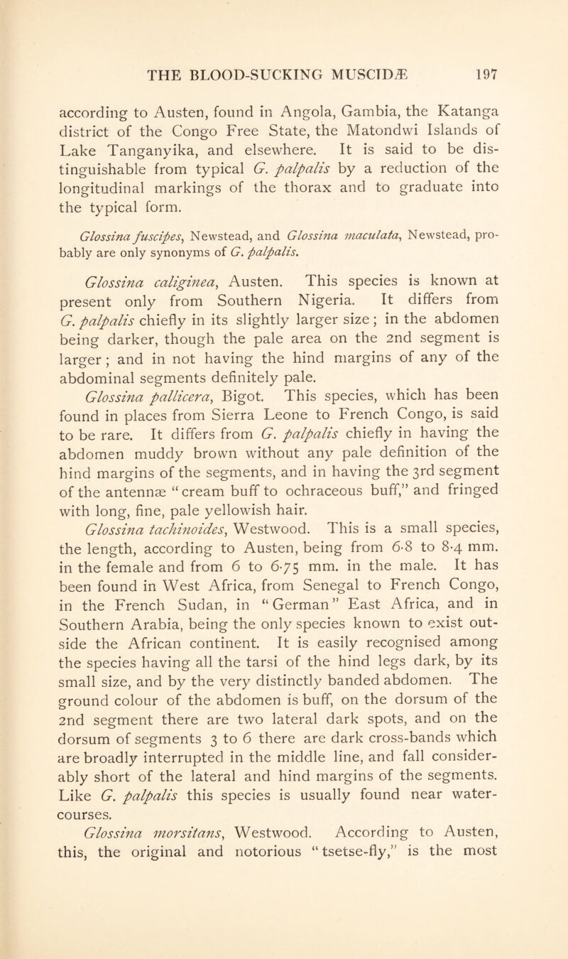 according to Austen, found in Angola, Gambia, the Katanga district of the Congo Free State, the Matondwi Islands of Lake Tanganyika, and elsewhere. It is said to be dis¬ tinguishable from typical G. palpalis by a reduction of the longitudinal markings of the thorax and to graduate into the typical form. Glossina Justifies, Newstead, and Glossma maculata, Newstead, pro¬ bably are only synonyms of G. palpalis. Glossina caliginea, Austen. This species is known at present only from Southern Nigeria. It differs from G. palpalis chiefly in its slightly larger size; in the abdomen being darker, though the pale area on the 2nd segment is larger ; and in not having the hind margins of any of the abdominal segments definitely pale. Glossina pallicera, Bigot. This species, which has been found in places from Sierra Leone to French Congo, is said to be rare. It differs from G. palpalis chiefly in having the abdomen muddy brown without any pale definition of the hind margins of the segments, and in having the 3rd segment of the antennse “cream buff to ochraceous buff,” and fringed with long, fine, pale yellowish hair. Glossina tachinoides, Westwood. This is a small species, the length, according to Austen, being from 6-8 to 8-4 mm. in the female and from 6 to 675 mm. in the male. It has been found in West Africa, from Senegal to French Congo, in the French Sudan, in “German” East Africa, and in Southern Arabia, being the only species known to exist out¬ side the African continent. It is easily recognised among the species having all the tarsi of the hind legs dark, by its small size, and by the very distinctly banded abdomen. The ground colour of the abdomen is buff, on the dorsum of the 2nd segment there are two lateral dark spots, and on the dorsum of segments 3 to 6 there are dark cross-bands which are broadly interrupted in the middle line, and fall consider¬ ably short of the lateral and hind margins of the segments. Like G. palpalis this species is usually found near water¬ courses. Glossina morsitans, Westwood. According to Austen, this, the original and notorious “ tsetse-fly,” is the most