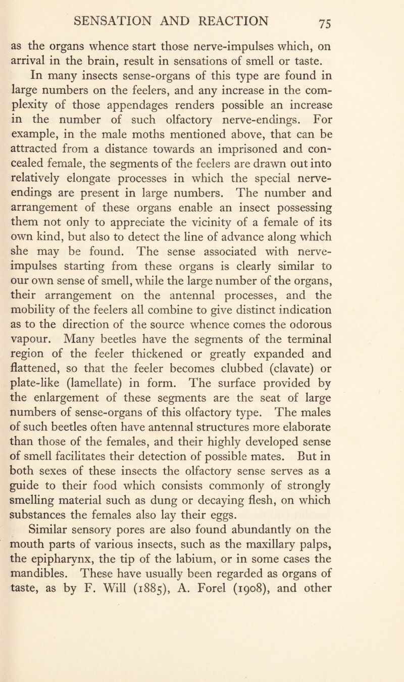 as the organs whence start those nerve-impulses which, on arrival in the brain, result in sensations of smell or taste. In many insects sense-organs of this type are found in large numbers on the feelers, and any increase in the com¬ plexity of those appendages renders possible an increase in the number of such olfactory nerve-endings. For example, in the male moths mentioned above, that can be attracted from a distance towards an imprisoned and con¬ cealed female, the segments of the feelers are drawn out into relatively elongate processes in which the special nerve- endings are present in large numbers. The number and arrangement of these organs enable an insect possessing them not only to appreciate the vicinity of a female of its own kind, but also to detect the line of advance along which she may be found. The sense associated with nerve- impulses starting from these organs is clearly similar to our own sense of smell, while the large number of the organs, their arrangement on the antennal processes, and the mobility of the feelers all combine to give distinct indication as to the direction of the source whence comes the odorous vapour. Many beetles have the segments of the terminal region of the feeler thickened or greatly expanded and flattened, so that the feeler becomes clubbed (clavate) or plate-like (lamellate) in form. The surface provided by the enlargement of these segments are the seat of large numbers of sense-organs of this olfactory type. The males of such beetles often have antennal structures more elaborate than those of the females, and their highly developed sense of smell facilitates their detection of possible mates. But in both sexes of these insects the olfactory sense serves as a guide to their food which consists commonly of strongly smelling material such as dung or decaying flesh, on which substances the females also lay their eggs. Similar sensory pores are also found abundantly on the mouth parts of various insects, such as the maxillary palps, the epipharynx, the tip of the labium, or in some cases the mandibles. These have usually been regarded as organs of taste, as by F. Will (1885), A. Forel (1908), and other