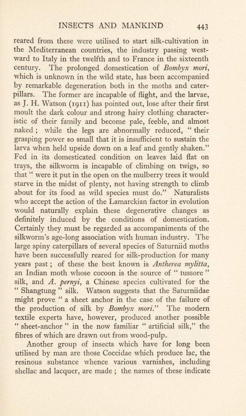 reared from these were utilised to start silk-cultivation in the Mediterranean countries, the industry passing west¬ ward to Italy in the twelfth and to France in the sixteenth century. The prolonged domestication of Bombyx mori, which is unknown in the wild state, has been accompanied by remarkable degeneration both in the moths and cater¬ pillars. The former are incapable of flight, and the larvae, as J. H. Watson (1911) has pointed out, lose after their first moult the dark colour and strong hairy clothing character¬ istic of their family and become pale, feeble, and almost naked ; while the legs are abnormally reduced, “ their grasping power so small that it is insufficient to sustain the larva when held upside down on a leaf and gently shaken.” Fed in its domesticated condition on leaves laid flat on trays, the silkworm is incapable of climbing on twigs, so that “ were it put in the open on the mulberry trees it would starve in the midst of plenty, not having strength to climb about for its food as wild species must do.” Naturalists who accept the action of the Lamarckian factor in evolution would naturally explain these degenerative changes as definitely induced by the conditions of domestication. Certainly they must be regarded as accompaniments of the silkworm’s age-long association with human industry. The large spiny caterpillars of several species of Saturniid moths have been successfully reared for silk-production for many years past; of these the best known is Antherea mylitta, an Indian moth whose cocoon is the source of “ tussore ” silk, and A. pernyi, a Chinese species cultivated for the “ Shangtung ” silk. Watson suggests that the Saturniidae might prove “ a sheet anchor in the case of the failure of the production of silk by Bombyx mori.” The modern textile experts have, however, produced another possible “ sheet-anchor ” in the now familiar “ artificial silk,” the fibres of which are drawn out from wood-pulp. Another group of insects which have for long been utilised by man are those Coccidae which produce lac, the resinous substance whence various varnishes, including shellac and lacquer, are made ; the names of these indicate