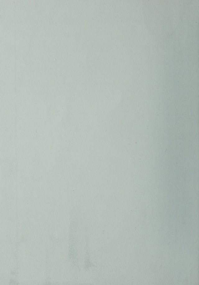 digitised image 2
