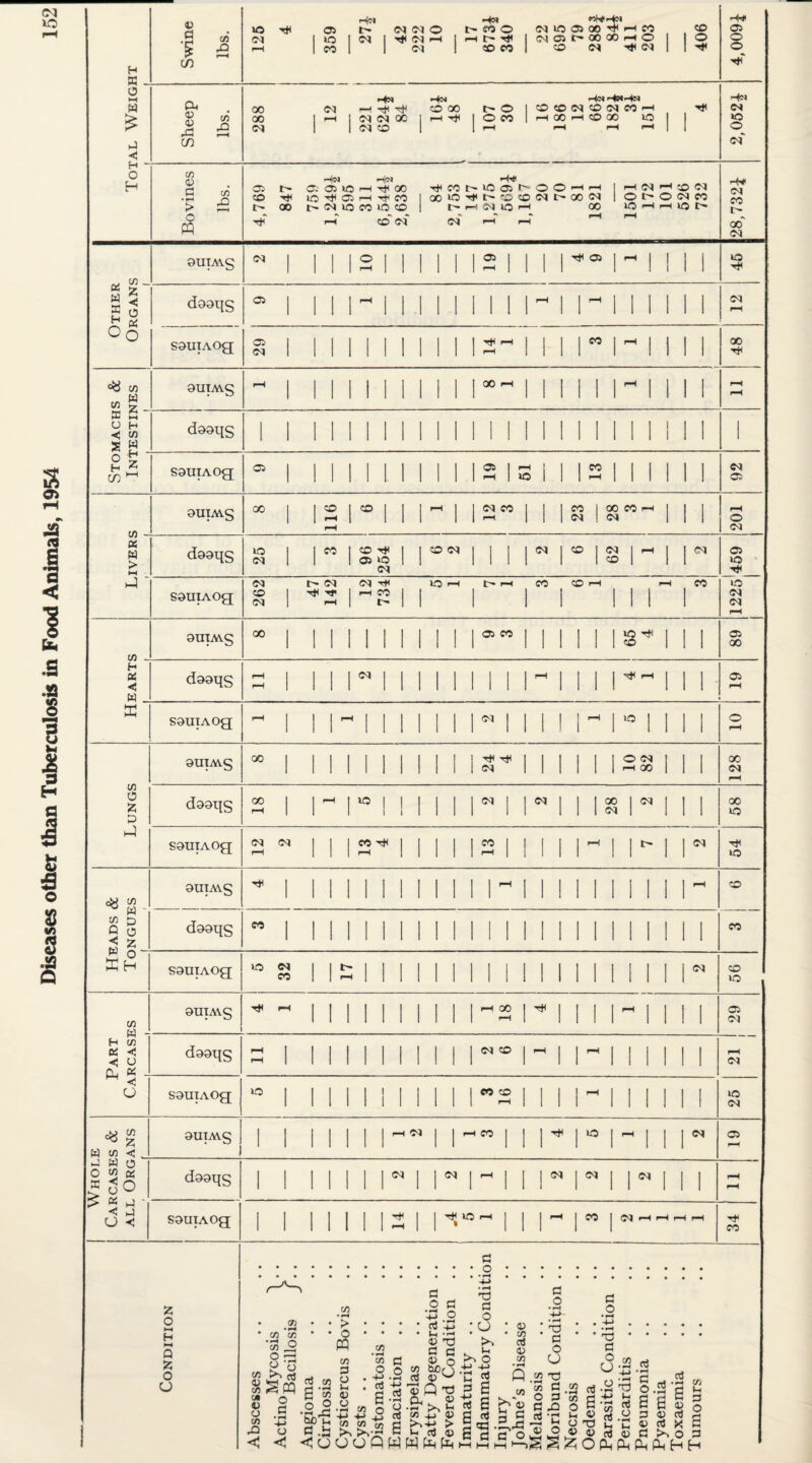 Diseases other than Tuberculosis in Food Animals, 1954