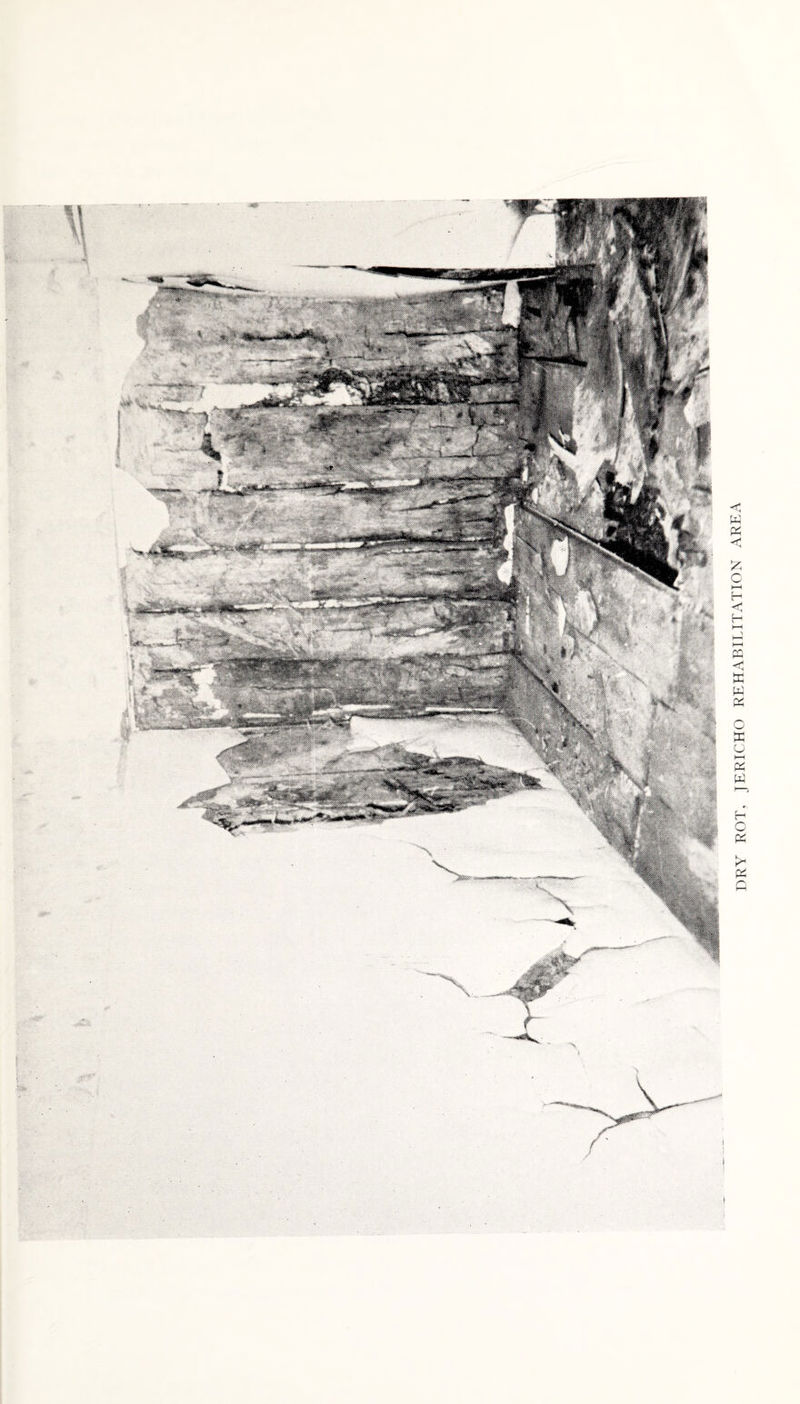 DRY ROT, JERICHO REHABILITATION AREA