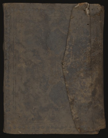 Aṣṭāṅgahṛdayasaṃhitā manuscript preview