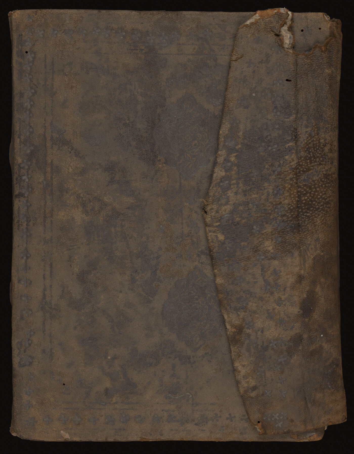 Aṣṭāṅgahṛdayasaṃhitā manuscript preview