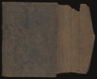 Aṣṭāṅgahṛdayasaṃhitā folio 2