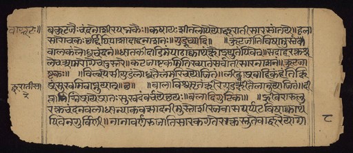 Aṣṭāṅgahṛdayasaṃhitā manuscript preview