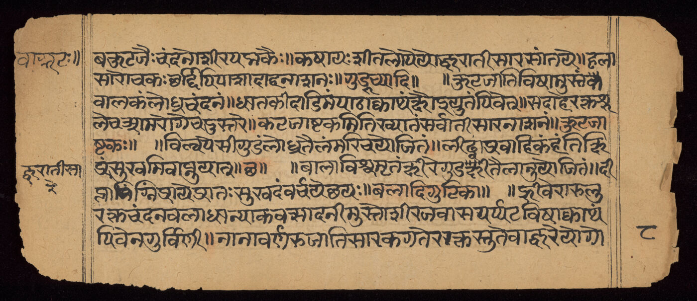 Aṣṭāṅgahṛdayasaṃhitā manuscript preview
