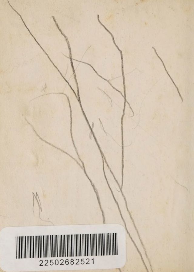 digitised image 2