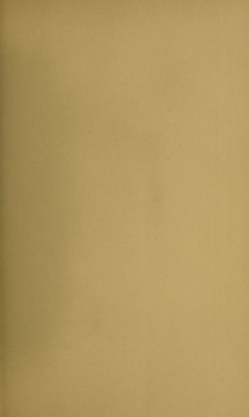 '