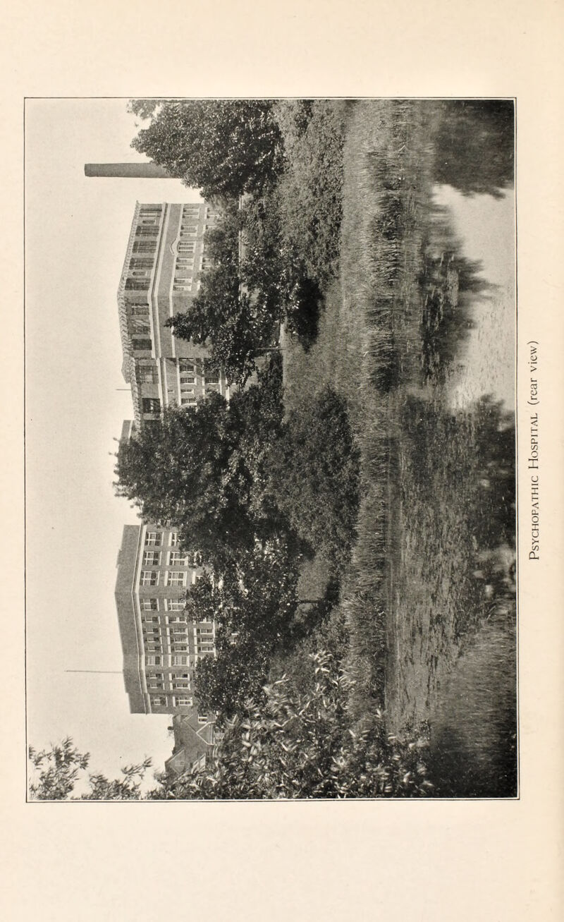 Psychopathic Hospital (rear view)