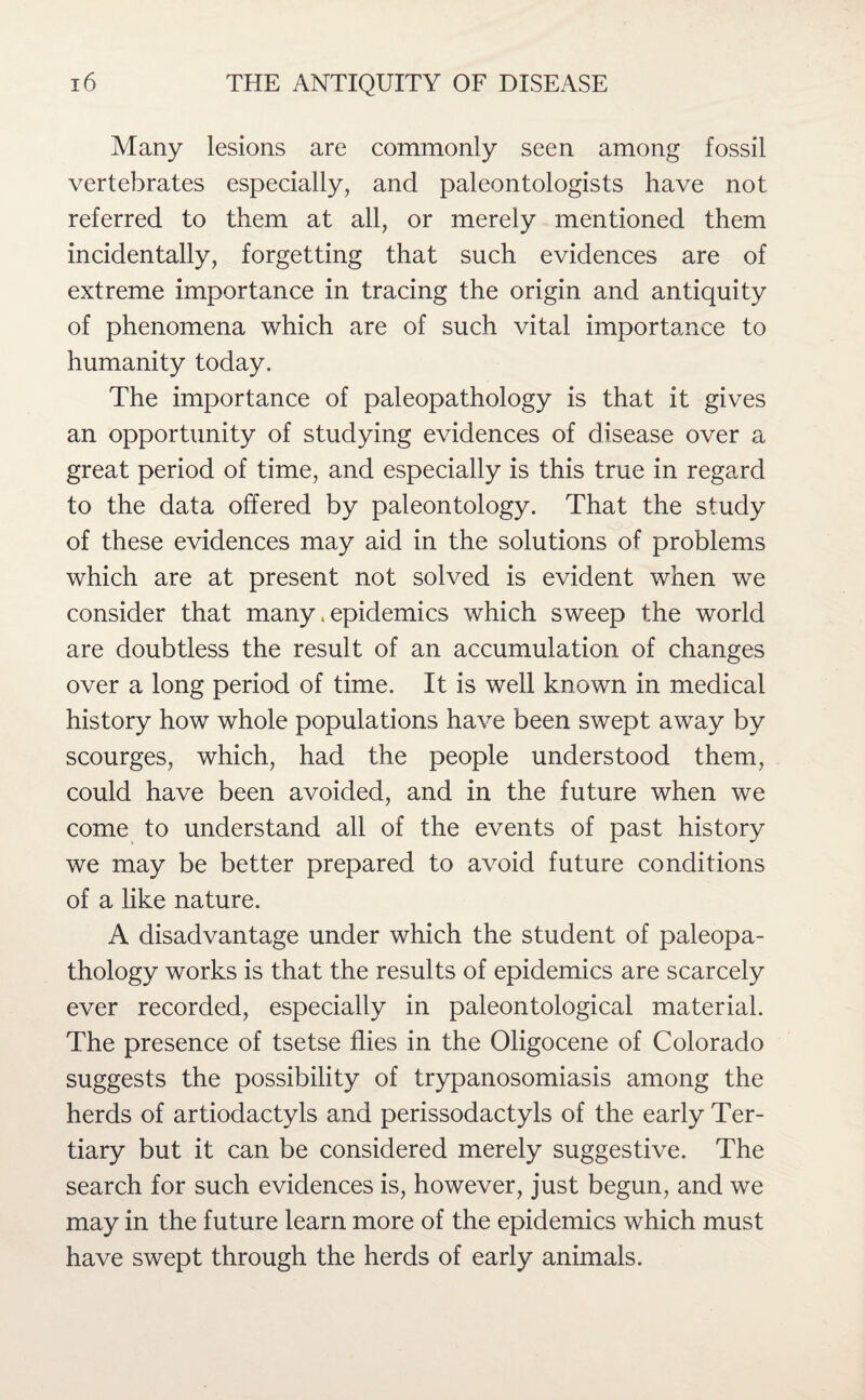 Many lesions are commonly seen among fossil vertebrates especially, and paleontologists have not referred to them at all, or merely mentioned them incidentally, forgetting that such evidences are of extreme importance in tracing the origin and antiquity of phenomena which are of such vital importance to humanity today. The importance of paleopathology is that it gives an opportunity of studying evidences of disease over a great period of time, and especially is this true in regard to the data offered by paleontology. That the study of these evidences may aid in the solutions of problems which are at present not solved is evident when we consider that many, epidemics which sweep the world are doubtless the result of an accumulation of changes over a long period of time. It is well known in medical history how whole populations have been swept away by scourges, which, had the people understood them, could have been avoided, and in the future when we come to understand all of the events of past history we may be better prepared to avoid future conditions of a like nature. A disadvantage under which the student of paleopa¬ thology works is that the results of epidemics are scarcely ever recorded, especially in paleontological material. The presence of tsetse flies in the Oligocene of Colorado suggests the possibility of trypanosomiasis among the herds of artiodactyls and perissodactyls of the early Ter¬ tiary but it can be considered merely suggestive. The search for such evidences is, however, just begun, and we may in the future learn more of the epidemics which must have swept through the herds of early animals.