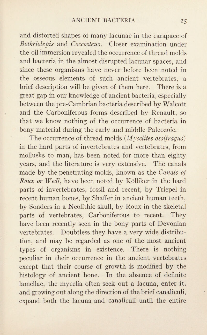 and distorted shapes of many lacunae in the carapace of Bothriolepis and Coccosteus. Closer examination under the oil immersion revealed the occurrence of thread molds and bacteria in the almost disrupted lacunar spaces, and since these organisms have never before been noted in the osseous elements of such ancient vertebrates, a brief description will be given of them here. There is a great gap in our knowledge of ancient bacteria, especially between the pre-Cambrian bacteria described by Walcott and the Carboniferous forms described by Renault, so that we know nothing of the occurrence of bacteria in bony material during the early and middle Paleozoic. The occurrence of thread molds (Mycelites ossifragus) in the hard parts of invertebrates and vertebrates, from mollusks to man, has been noted for more than eighty years, and the literature is very extensive. The canals made by the penetrating molds, known as the Canals of Roux or Wedlj have been noted by Kolliker in the hard parts of invertebrates, fossil and recent, by Triepel in recent human bones, by Shaffer in ancient human teeth, by Sonders in a Neolithic skull, by Roux in the skeletal parts of vertebrates, Carboniferous to recent. They have been recently seen in the bony parts of Devonian vertebrates. Doubtless they have a very wide distribu¬ tion, and may be regarded as one of the most ancient types of organisms in existence. There is nothing peculiar in their occurrence in the ancient vertebrates except that their course of growth is modified by the histology of ancient bone. In the absence of definite lamellae, the mycelia often seek out a lacuna, enter it, and growing out along the direction of the brief canaliculi, expand both the lacuna and canaliculi until the entire