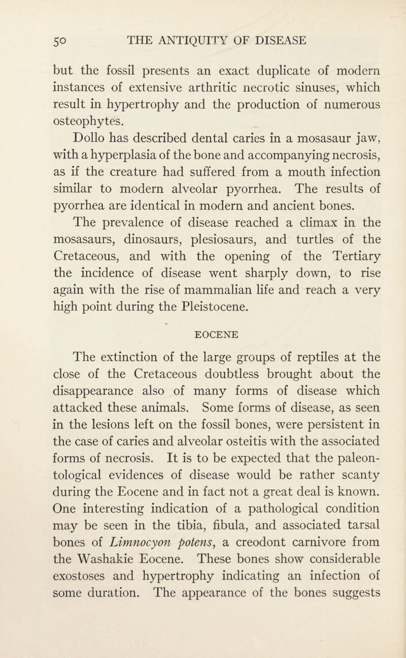 but the fossil presents an exact duplicate of modern instances of extensive arthritic necrotic sinuses, which result in hypertrophy and the production of numerous osteophytes. Dollo has described dental caries in a mosasaur jaw, with a hyperplasia of the bone and accompanying necrosis, as if the creature had suffered from a mouth infection similar to modern alveolar pyorrhea. The results of pyorrhea are identical in modern and ancient bones. The prevalence of disease reached a climax in the mosasaurs, dinosaurs, plesiosaurs, and turtles of the Cretaceous, and with the opening of the Tertiary the incidence of disease went sharply down, to rise again with the rise of mammalian life and reach a very high point during the Pleistocene. EOCENE The extinction of the large groups of reptiles at the close of the Cretaceous doubtless brought about the disappearance also of many forms of disease which attacked these animals. Some forms of disease, as seen in the lesions left on the fossil bones, were persistent in the case of caries and alveolar osteitis with the associated forms of necrosis. It is to be expected that the paleon¬ tological evidences of disease would be rather scanty during the Eocene and in fact not a great deal is known. One interesting indication of a pathological condition may be seen in the tibia, fibula, and associated tarsal bones of Limnocyon potens, a creodont carnivore from the Washakie Eocene. These bones show considerable exostoses and hypertrophy indicating an infection of some duration. The appearance of the bones suggests