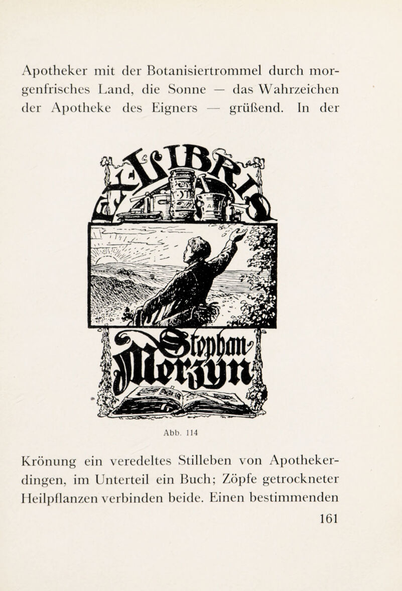 Apotheker mit der Botanisiertrommel durch mor¬ genfrisches Land, die Sonne — das Wahrzeichen der Apotheke des Eigners — grüßend. In der Abb. 114 Krönung ein veredeltes Stilleben von Apotheker¬ dingen, im Unterteil ein Buch; Zöpfe getrockneter Heilpflanzen verbinden beide. Einen bestimmenden