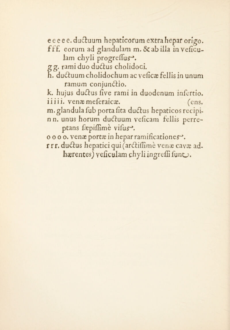 e e e e e. du£luum hepaticofum extra hepar origo, fff. eorum ad glandulam m. Scabilla inveficu- lam chyli progrelTu?'^. gg. rami duo dudlus cholidoci. h. du<51:uum cholidochum ac velicae fellis in unum ramum conjun^iio. k. hujus ducflus five rami in duodenum infertio. ii i i i. ven^ meferaicas. (ens. m. glandula fub porta lita dutflus hepaticos recipi- nn. unus horum ducfduum veficam fellis perre- ptans fepiffime vifur^. 0 0 0 0. venae portae in hepar ramificationesr'. r r r. duSlus hepatici qui (arcfi:iffime venie cavae ad¬ haerentes) veliculam chyli ingreffi funt_j.