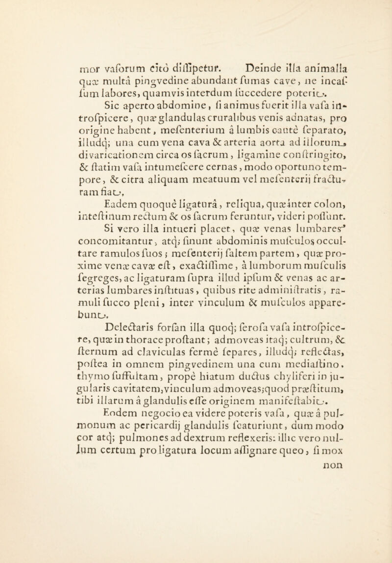 mor vaforum Cito dllllpetuf. Deinde ilLa animalia qiix multa pingvedine abundant fumas cave, ne incaf fum labores, quamvis interdum (accedere poterio. Sic aperto abdomine , fi animus fuerit illa vafa itl* trofpicere, qua?glandulas cruralibus venis adnatas, pro origine habent, mefenterium a lumbis caute feparato, illudq; una cum vena cava & arteria aorta adillorum,» divaricationem circa os (aerum , ligamine conftringito, & ftatim vafa intumefeere cernas, modo oportuno tem¬ pore, & citra aliquam meatuum vel mefenterij fractu-, ram fiao. Eadem quoque ligatura, reliqua, queemter colon, inteftinum rectum & os facrum feruntur, videri poHunt. Si vero illa intueri placet, quee venas lumbaresr* concomitantLir, atq; finunt abdominis mufculos occul¬ tare ramulosfuos ,* mefenterij faltem partem, qusepro¬ xime ven^ecav^ ed:, exadtiflime, a lumborum mufculis fegreges, ac ligaturam fupra illud ipfum & venas ac ar¬ terias lumbares inftituas, quibus rite adminidratis , ra¬ muli fucco pleni 3 inter vinculum mulculos appare- buno. Deledtaris for(an illa quoq; ferofa vafa introfpice- re, qua^ in thorace prodant; admoveas itaq; cultrum, &c dernum ad claviculas ferme tepares, illudq; refledtas, podea in omnem pingvedinem una cum mediadino, thymo fuffuitam, prope hiatum dudtus chyliferi in ju¬ gularis cavitatemjvinculum admoveas,-quod praeditum, tibi illarum a glandulis ede originem manifedabiu. Eodem negocioea videre poteris vafa, queea pul¬ monum ac pcricardij glandulis fcaturiunt, dummodo cor atq; pulmones ad dextrum reflexeris: illic vero nui- inm certum pro ligatura locum adignare queo 3 fi mox non