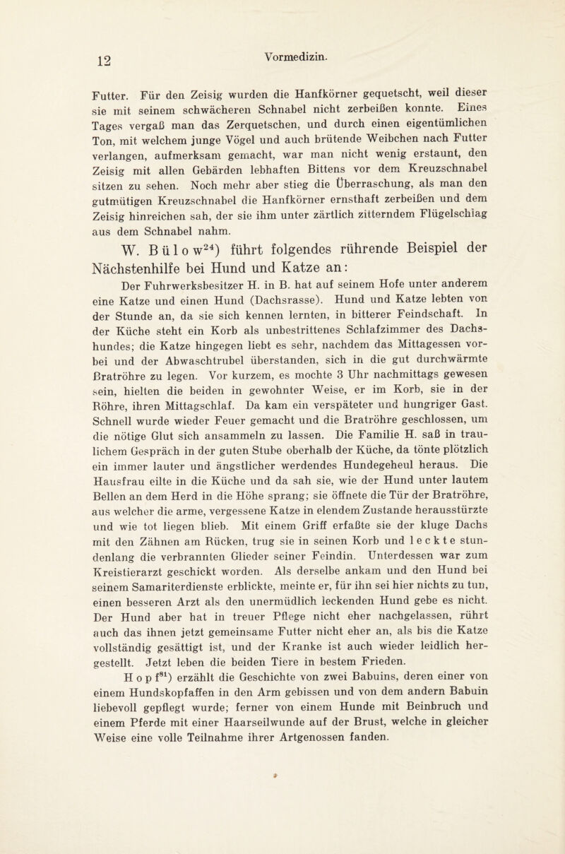 Futter. Für den Zeisig wurden die Hanfkörner gequetscht, weil dieser sie mit seinem schwächeren Schnabel nicht zerbeißen konnte. Eines Tages vergaß man das Zerquetschen, und durch einen eigentümlichen Ton, mit welchem junge Vögel und auch brütende Weibchen nach Futter verlangen, aufmerksam gemacht, war man nicht wenig erstaunt, den Zeisig mit allen Gebärden lebhaften Bittens vor dem Kreuzschnabel sitzen zu sehen. Noch mehr aber stieg die Überraschung, als man den gutmütigen Kreuzschnabel die Hanfkörner ernsthaft zerbeißen und dem Zeisig hinreichen sah, der sie ihm unter zärtlich zitterndem Flügelschiag aus dem Schnabel nahm. W. B ü 1 o w24) führt folgendes rührende Beispiel der Nächstenhilfe bei Hund und Katze an: Der Fuhrwerksbesitzer H. in B. hat auf seinem Hofe unter anderem eine Katze und einen Hund (Dachsrasse). Hund und Katze lebten von der Stunde an, da sie sich kennen lernten, in bitterer Feindschaft, ln der Küche steht ein Korb als unbestrittenes Schlafzimmer des Dachs¬ hundes; die Katze hingegen liebt es sehr, nachdem das Mittagessen vor¬ bei und der Abwaschtrubel überstanden, sich in die gut durchwärmte Bratröhre zu legen. Vor kurzem, es mochte 3 Uhr nachmittags gewesen sein, hielten die beiden in gewohnter Weise, er im Korb, sie in der Röhre, ihren Mittagschlaf. Da kam ein verspäteter und hungriger Gast. Schnell wurde wieder Feuer gemacht und die Bratröhre geschlossen, um die nötige Glut sich ansammeln zu lassen. Die Familie H. saß in trau¬ lichem Gespräch in der guten Stube oberhalb der Küche, da tönte plötzlich ein immer lauter und ängstlicher werdendes Hundegeheul heraus. Die Hausfrau eilte in die Küche und da sah sie, wie der Hund unter lautem Bellen an dem Herd in die Höhe sprang; sie öffnete die Tür der Bratröhre, aus welcher die arme, vergessene Katze in elendem Zustande herausstürzte und wie tot liegen blieb. Mit einem Griff erfaßte sie der kluge Dachs mit den Zähnen am Rücken, trug sie in seinen Korb und leckte stun¬ denlang die verbrannten Glieder seiner Feindin. Unterdessen war zum Kreistierarzt geschickt worden. Als derselbe ankam und den Hund bei seinem Samariterdienste erblickte, meinte er, für ihn sei hier nichts zu tun, einen besseren Arzt als den unermüdlich leckenden Hund gebe es nicht. Der Hund aber hat in treuer Pflege nicht eher nachgelassen, rührt auch das ihnen jetzt gemeinsame Futter nicht eher an, als bis die Katze vollständig gesättigt ist, und der Kranke ist auch wieder leidlich her¬ gestellt. Jetzt leben die beiden Tiere in bestem Frieden. Hop f81) erzählt die Geschichte von zwei Babuins, deren einer von einem Hundskopfaffen in den Arm gebissen und von dem andern Babuin liebevoll gepflegt wurde; ferner von einem Hunde mit Beinbruch und einem Pferde mit einer Haarseilwunde auf der Brust, welche in gleicher Weise eine volle Teilnahme ihrer Artgenossen fanden.