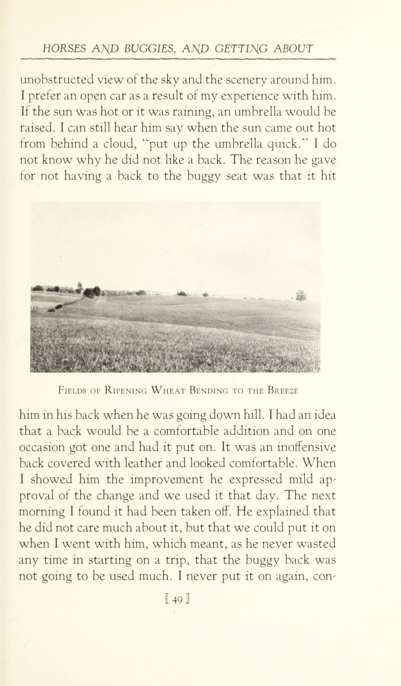 unobstructed view of the sky and the scenery around him. I prefer an open car as a result of my experience with him. If the sun was hot or it was raining, an umbrella would be raised. I can still hear him say when the sun came out hot from behind a cloud, “put up the umbrella quick.” I do not know why he did not like a back. The reason he gave for not having a back to the buggy seat was that it hit Fields of Ripening Wheat Bending to the Breeze him in his back when he was going down hill. I had an idea that a back would be a comfortable addition and on one occasion got one and had it put on. It was an inoffensive back covered with leather and looked comfortable. When I showed him the improvement he expressed mild ap' proval of the change and we used it that day. The next morning I found it had been taken off. He explained that he did not care much about it, but that we could put it on when I went with him, which meant, as he never wasted any time in starting on a trip, that the buggy back was not going to be used much. I never put it on again, corn