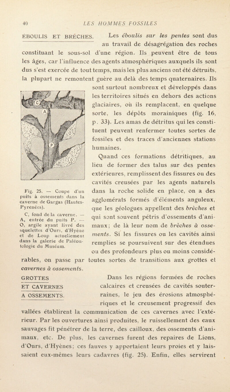 EBOULIS ET BRÈCHES. Les éboulis sur les pentes sont dus au travail de désagrégation des roches constituant le sous-sol d’une région. Ils peuvent être de tous les âges, car l’influence des agents atmosphériques auxquels ils sont dus s’est exercée de tout temps, mais les plus anciens ont été détruits, la plupart ne remontent guère au delà des temps quaternaires. Ils sont surtout nombreux et développés dans les territoires situés en dehors des actions glaciaires, où ils remplacent, en quelque sorte, les dépôts morainiques (fig. 16, p. 33). Les amas de détritus qui les consti¬ tuent peuvent renfermer toutes sortes de fossiles et des traces d’anciennes stations humaines. Quand ces formations détritiques, au lieu de former des talus sur des pentes extérieures, remplissent des fissures ou des cavités creusées par les agents naturels dans la roche solide en place, on a des agglomérats formés d’éléments anguleux, que les géologues appellent des brèches et qui sont souvent pétris d’ossements d’ani¬ maux; de là leur nom de brèches à osse¬ ments. Si les fissures ou les cavités ainsi remplies se poursuivent sur des étendues ou des profondeurs plus ou moins considé¬ rables, on passe par toutes sortes de transitions aux grottes et cavernes à ossements. Fig. 25. — Coupe d’un puits à ossements dans la caverne de Gargas (Hautes- Py renées). C, fond delà caverne. — A, entrée du puits P. — O, argile ayant livré des squelettes d’Ours, d’Hyène et de Loup actueîiemem dans la galerie de Paléon¬ tologie du Muséum. GROTTES Dans les régions formées de roches ET CAVERNES calcaires et creusées de cavités souter- A OSSEMENTS. raines, le jeu des érosions atmosphé¬ riques et le creusement progressif des vallées établirent la communication de ces cavernes avec l'exté¬ rieur. Par les ouvertures ainsi produites, le ruissellement des eaux sauvages fit pénétrer de la terre, des cailloux, des ossements d’ani¬ maux, etc. De plus, les cavernes furent des repaires de Lions, d’Ours, d’Hyènes; ces fauves y apportaient leurs proies et y lais¬ saient eux-mêmes leurs cadavres (fig. 25). Enfin, elles servirent