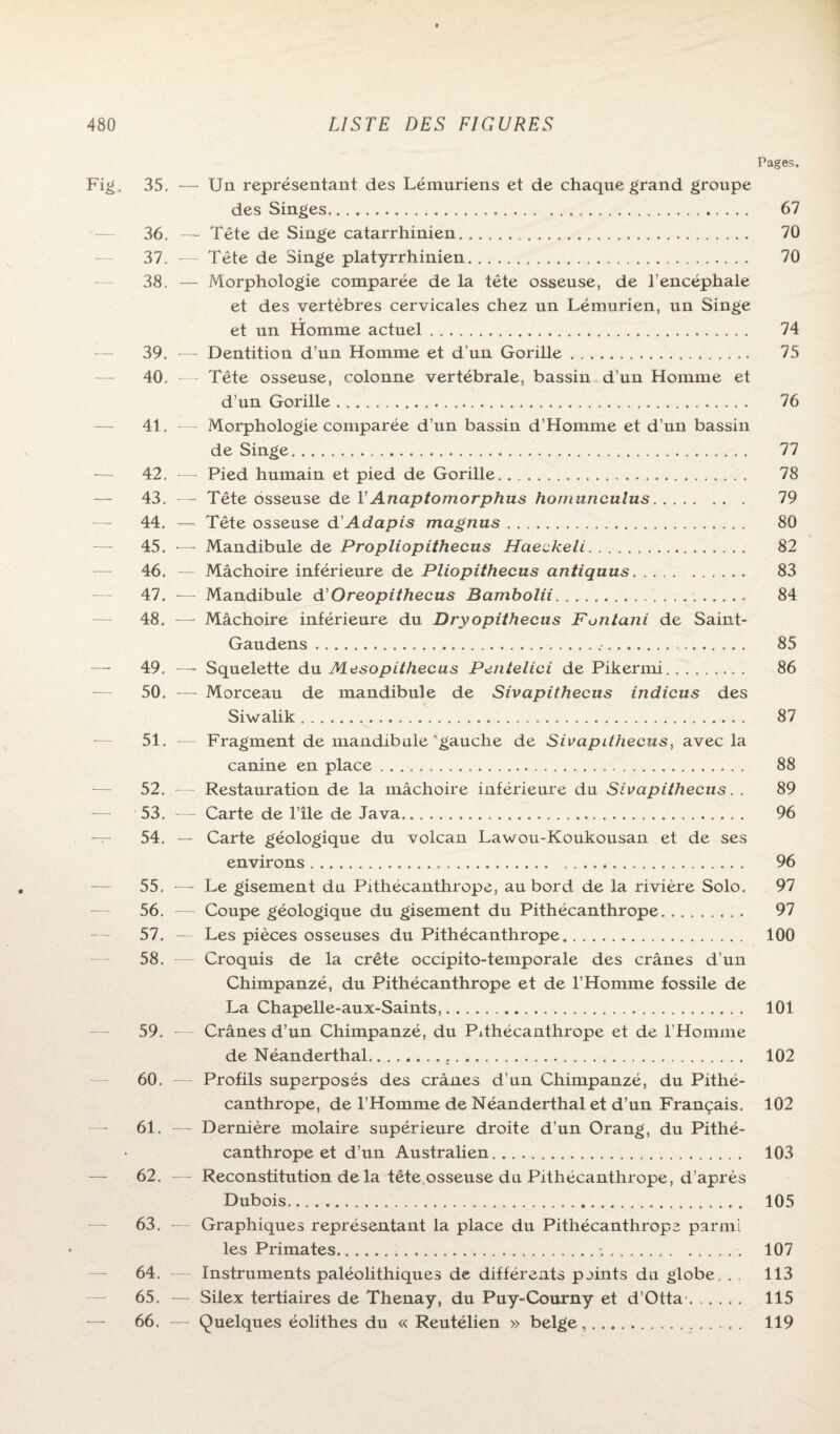 Pages. Fig. 35, — Un représentant des Lémuriens et de chaque grand groupe des Singes. 67 36. — Tête de Singe catarrhinien. 70 37. — Tête de Singe platyrrhinien. 70 38. — Morphologie comparée de la tête osseuse, de l’encéphale et des vertèbres cervicales chez un Lémurien, un Singe et un Homme actuel. 74 39. — Dentition d’un Homme et d’un Gorille. 75 40. -—- Tête osseuse, colonne vertébrale, bassin d’un Homme et d’un Gorille .. 76 41. — Morphologie comparée d’un bassin d’Homme et d’un bassin de Singe. 77 42. -— Pied humain et pied de Gorille. 78 43. — Tête osseuse de YAnaptomorphus hornunculus. 79 44. — Tête osseuse d'Adapis magnus. 80 45. •— Mandibule de Propliopithecus Haeckeli. 82 46. — Mâchoire inférieure de Pliopithecus antiquus. 83 47. — Mandibule d’Oreopithecus Bambolii. 84 48. —- Mâchoire inférieure du Dryopithecus Fontani de Saint- Gaudens. 85 —■ 49, — Squelette du Mesopithecus Pentelici de Pikermi. 86 50. — Morceau de mandibule de Sivapithecus indicus des Siwalik. 87 51. — Fragment de mandibule‘gauche de Sivapithecus, avec la canine en place. 88 52. — Restauration de la mâchoire inférieure du Sivapithecus. . 89 -— 53. — Carte de l’île de Java... 96 — 54. — Carte géologique du volcan Lawou-Koukousan et de ses environs. 96 55. — Le gisement du Pithécanthrope, au bord de la rivière Solo. 97 56. — Coupe géologique du gisement du Pithécanthrope.. . 97 57. — Les pièces osseuses du Pithécanthrope. 100 58. — Croquis de la crête occipito-temporale des crânes d’un Chimpanzé, du Pithécanthrope et de l’Homme fossile de La Chapelle-aux-Saints,. 101 59. — Crânes d’un Chimpanzé, du Pithécanthrope et de l’Homme de Néanderthal. 102 60. — Profils superposés des crânes d’un Chimpanzé, du Pithé¬ canthrope, de l’Homme de Néanderthal et d’un Français. 102 61. — Dernière molaire supérieure droite d’un Orang, du Pithé¬ canthrope et d’un Australien. 103 62. — Reconstitution de la tête.osseuse du Pithécanthrope, d’après Dubois. 105 63. — Graphiques représentant la place du Pithécanthrope parmi les Primates.-.. 107 64. — Instruments paléolithiques de différents peints du globe. . . 113 65. — Silex tertiaires de Thenay, du Puy-Courny et d’Otta-. 115 66. — Quelques éolithes du « Reutélien » belge... 119