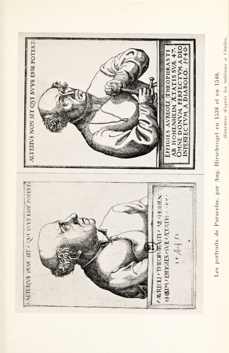 (Graoures d’après les tableaux à l'huile).