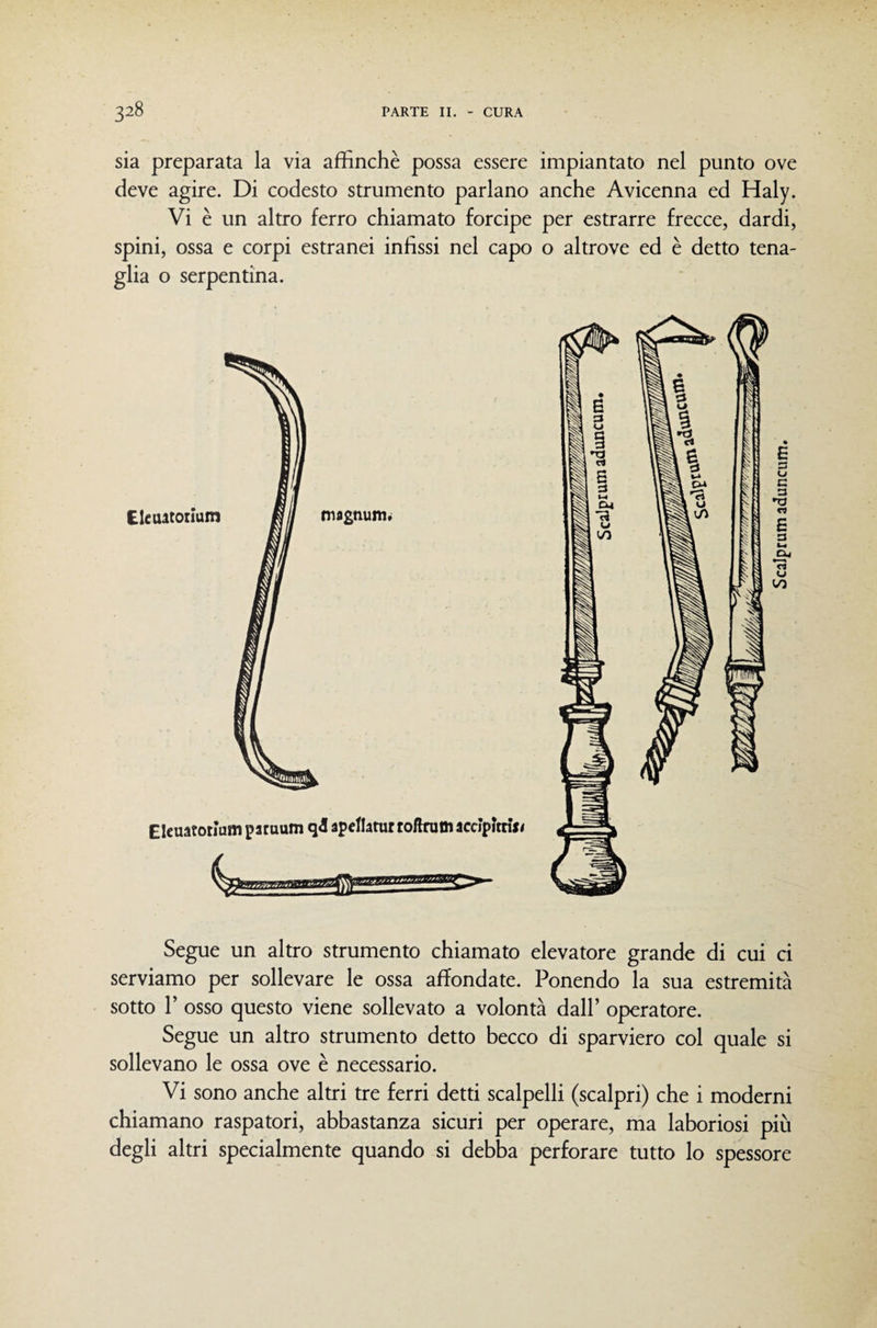 sia preparata la via affinchè possa essere impiantato nel punto ove deve agire. Di codesto strumento parlano anche Avicenna ed Haly. Vi è un altro ferro chiamato forcipe per estrarre frecce, dardi, spini, ossa e corpi estranei infissi nel capo o altrove ed è detto tena¬ glia o serpentina. Segue un altro strumento chiamato elevatore grande di cui ci serviamo per sollevare le ossa affondate. Ponendo la sua estremità sotto r osso questo viene sollevato a volontà dall’ operatore. Segue un altro strumento detto becco di sparviero col quale si sollevano le ossa ove è necessario. Vi sono anche altri tre ferri detti scalpelli (scalpri) che i moderni chiamano raspatori, abbastanza sicuri per operare, ma laboriosi più degli altri specialmente quando si debba perforare tutto lo spessore