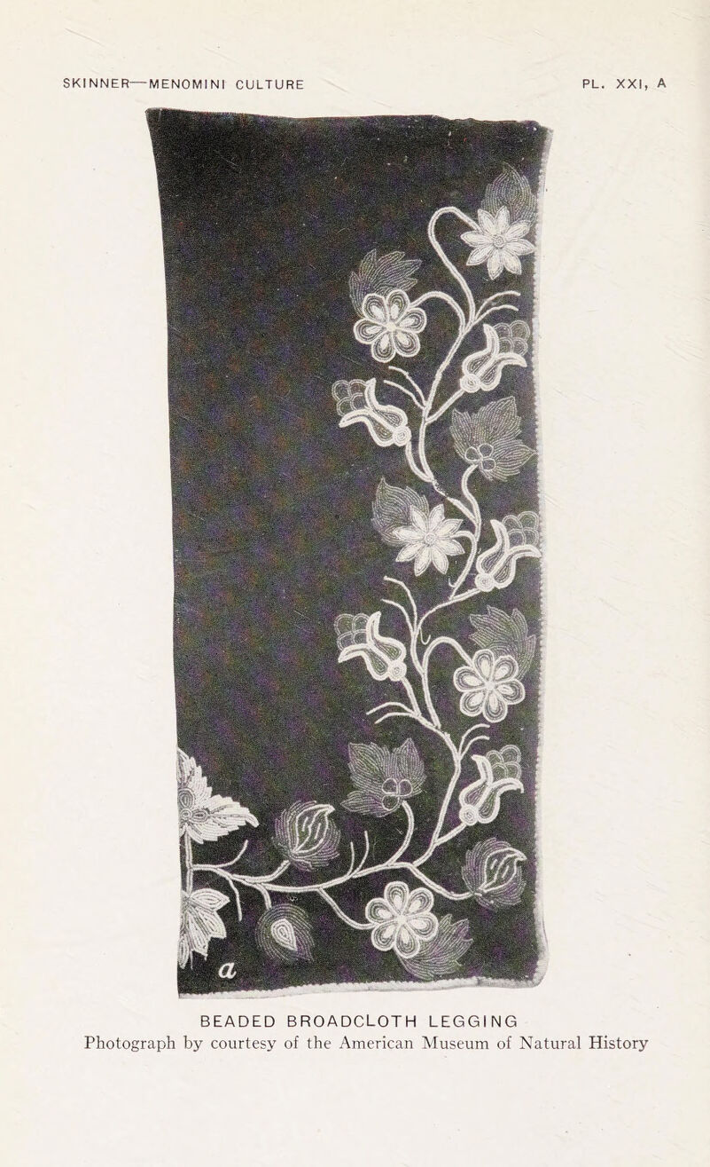 BEADED BROADCLOTH LEGGING