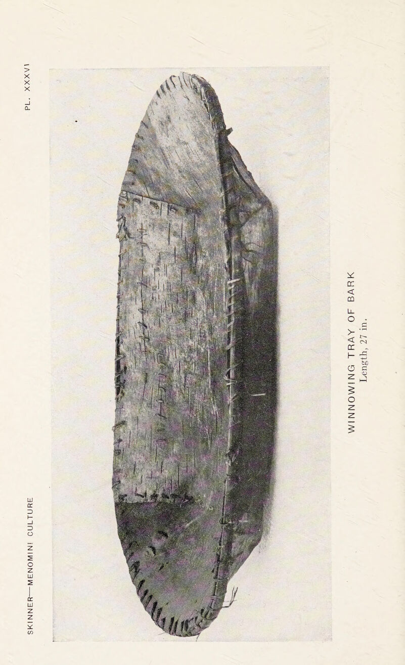 SKINNER—MENOMIN! CULTURE WINNOWING TRAY OF BARK Length, 27 in.