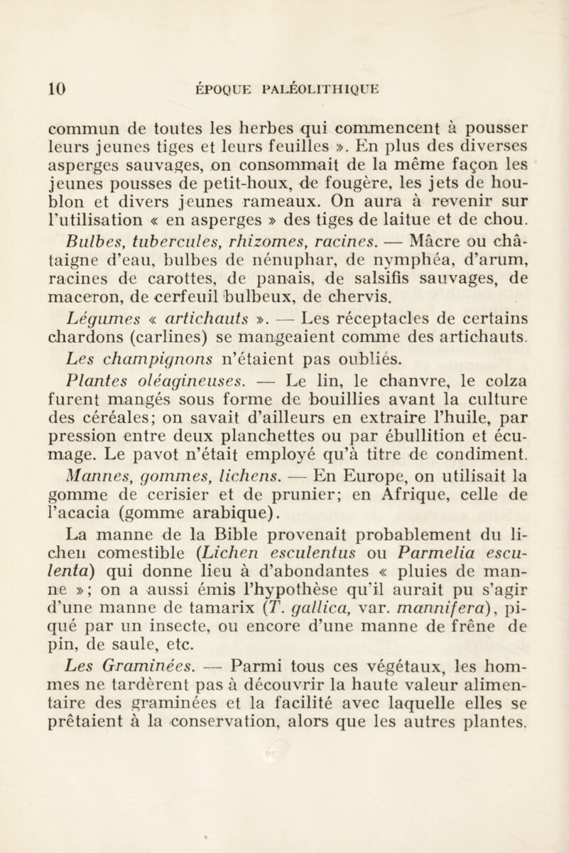 commun de toutes les herbes qui commencent à pousser leurs jeunes tiges et leurs feuilles ». En plus des diverses asperges sauvages, on consommait de la même façon les jeunes pousses de petit-houx, de fougère, les jets de hou¬ blon et divers jeunes rameaux. On aura à revenir sur l’utilisation « en asperges » des tiges de laitue et de chou. Bulbes, tubercules, rhizomes, racines. — Mâcre ou châ¬ taigne d’eau, bulbes de nénuphar, de nymphéa, d’arum, racines de carottes, de panais, de salsifis sauvages, de maceron, de cerfeuil bulbeux, de chervis. Légumes « artichauts ». — Les réceptacles de certains chardons (carlines) se mangeaient comme des artichauts. Les champignons n’étaient pas oubliés. Plantes oléagineuses. — Le lin, le chanvre, le colza furent mangés sous forme de bouillies avant la culture des céréales; on savait d’ailleurs en extraire l’huile, par pression entre deux planchettes ou par ébullition et écu¬ mage. Le pavot n’était employé qu’à titre de condiment. Mannes, gommes, lichens. — En Europe, on utilisait la gomme de cerisier et de prunier; en Afrique, celle de l’acacia (gomme arabique). La manne de la Bible provenait probablement du li¬ chen comestible (Lichen esculentus ou Parmelia escu- lenta) qui donne lieu à d’abondantes « pluies de man¬ ne »; on a aussi émis l’hypothèse qu'il aurait pu s’agir d’une manne de tamarix (T. gallica, var. mannifera), pi¬ qué par un insecte, ou encore d’une manne de frêne de pin, de saule, etc. Les Graminées. — Parmi tous ces végétaux, les hom¬ mes ne tardèrent pas à découvrir la haute valeur alimen¬ taire des graminées et la facilité avec laquelle elles se prêtaient à la conservation, alors que les autres plantes.