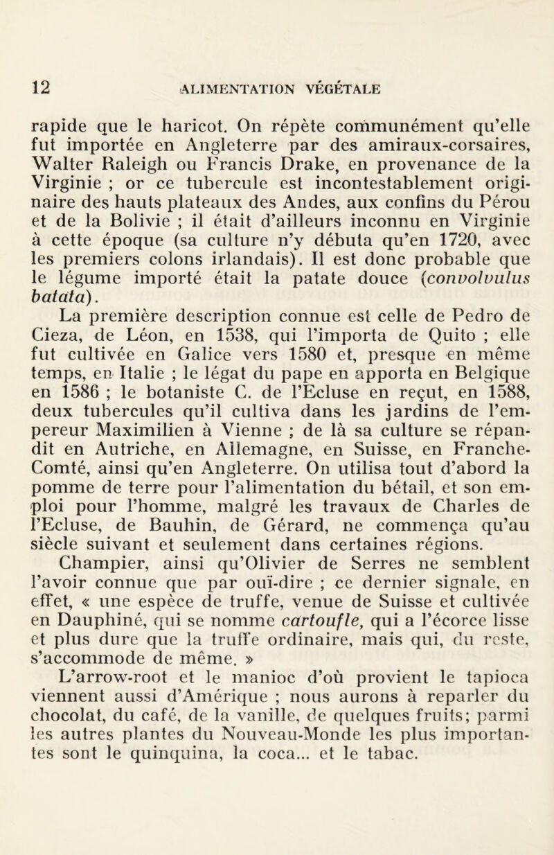 rapide que le haricot. On répète communément qu’elle fut importée en Angleterre par des amiraux-corsaires, Walter Raleigh ou Francis Drake, en provenance de la Virginie ; or ce tubercule est incontestablement origi¬ naire des hauts plateaux des Andes, aux confins du Pérou et de la Bolivie ; il était d’ailleurs inconnu en Virginie à cette époque (sa culture n’y débuta qu’en 1720, avec les premiers colons irlandais). Il est donc probable que le légume importé était la patate douce (convoivnlns bat ata). La première description connue est celle de Pedro de Cieza, de Léon, en 1538, qui l’importa de Quito ; elle fut cultivée en Galice vers 1580 et, presque en même temps, en Italie ; le légat du pape en apporta en Belgique en 1586 ; le botaniste C. de l’Ecluse en reçut, en 1588, deux tubercules qu’il cultiva dans les jardins de l’em¬ pereur Maximilien à Vienne ; de là sa culture se répan¬ dit en Autriche, en Allemagne, en Suisse, en Franche- Comté, ainsi qu’en Angleterre. On utilisa tout d’abord la pomme de terre pour l’alimentation du bétail, et son em¬ ploi pour l’homme, malgré les travaux de Charles de l’Ecluse, de Bauhin, de Gérard, ne commença qu’au siècle suivant et seulement dans certaines régions. Champier, ainsi qu’Olivier de Serres ne semblent l’avoir connue que par ouï-dire ; ce dernier signale, en effet, « une espèce de truffe, venue de Suisse et cultivée en Dauphiné, qui se nomme cartoufle, qui a l’écorce lisse et plus dure que la truffe ordinaire, mais qui, du reste, s’accommode de même. » L’arrow-root et le manioc d’où provient le tapioca viennent aussi d’Amérique ; nous aurons à reparler du chocolat, du café, de la vanille, de quelques fruits; parmi les autres plantes du Nouveau-Monde les plus importan¬ tes sont le quinquina, la coca... et le tabac.