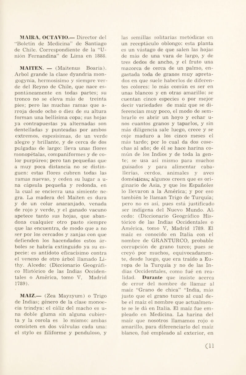 MAIRA, OCTAVIO.— Director del “Boletín de Medicina” de Santiago de Chile. Correspondiente de la “ti¬ món Fernandina” de Lima en 1888. MAITEN. — (Maitenus Boaria). Arbol grande la clase dyandria mon- gogynia, hermosisimo y siempre ver¬ de del Reyno de Chile, que nace es¬ pontáneamente en todas partes; su tronco no se eleva más de treinta pies; pero las muchas ramas que a- rroja desde ocho o diez de su altura forman una bellísima copa; sus hojas ya contrapuestas ya alternadas son dentelladas y punteadas por ambos extremos, espesísimas, de un verde alegre y brillante, y de cerca de dos pulgadas de largo: lleva unas flores monopétalas, companiformes y de co¬ lor purpúreo; pero tan pequeñas que a muy poca distancia no se distin¬ guen: estas flores cubren todas las ramas nuevas, y ceden su lugar a u- na cápsula pequeña y redonda, en la cual se encierra una simiente ne¬ gra. La madera del Maiten es dura y de un color anaranjado, venada de rojo y verde, y el ganado vacuno apetece tanto sus hojas, que aban¬ dona cualquier otro pasto siempre que las encuentra, de modo que a no ser por los cercados y zanjas con que defienden los hacendados estos ár¬ boles se habría extinguido ya su es¬ pecie: es antídoto eficacísimo contra el veneno de otro árbol llamado Li- thv. Alcedo: (Diccionario Geográfi¬ co Histórico de las Indias Occiden¬ tales o América, tomo V, Madrid 1789). MAIZ.— (Zea Mayzyum) o Trigo de Indias; género de la clase monoe- cia trindya: el cáliz del macho es u- na doble gluma sin alguna cubier¬ ta y la corola es lo mismo: ambas consisten en dos válvulas cada una: el stylo es filiforme y penduloso, y las semillas solitarias metódicas en un receptáculo oblongo: esta planta es un vástago de que salen las hojas de más de una vara de largo, y de tres dedos de ancho, y el fruto una mazorca de cerca de un palmo, en¬ gastada toda de granos muy apreta¬ dos en que suele haberlos de diferen¬ tes colores: lo más común es ser en unas blancos y en otras amarillo: se cuentan cinco especies o por mejor decir variedades de maíz que se di¬ ferencian muy poco, el modo de sem¬ brarlo es abrir un hoyo y echar u- nos cuantos granos y taparlos, y sin más diligencia sale luego, crece y se coje maduro a los cinco meses el más tardo; por lo cual da dos cose¬ chas al año; de él se hace harina co¬ mún de los Indios y de toda la gen¬ te; se usa así mismo para muchos guisados y para alimentar caba¬ llerías, cerdos, animales y aves domésticas; algunos creen que es ori¬ ginario de Asia, y que los Españoles lo llevaron a la América; y por eso también le llaman Trigo de Turquía; pero no es así, pues está justificado ser indígena del Nuevo Mundo. Al¬ cedo: (Diccionario Geográfico His¬ tórico de las Indias Occidentales o América, tomo V, Madrid 1789. El maíz es conocido en Italia con el nombre de GRANTURCO, probable corrupción de grano turco; pues se creyó por muchos, equivocadamen¬ te, desde luego, que era traído a Eu¬ ropa de la Turquía y no de las In¬ dias Occidentales, como fué en rea¬ lidad. Durante que insiste acerca de error del nombre de llamar al maíz “Grano de chica” “India, más justo que el grano turco al cual de¬ be el maíz el nombre que actualmen¬ te se le dá en Italia. El maíz fue em¬ pleado en Medicina. La harina del maíz que nosotros llamamos rojo o amarillo, para diferenciarlo del maíz blanco, fué empleado al exterior, en