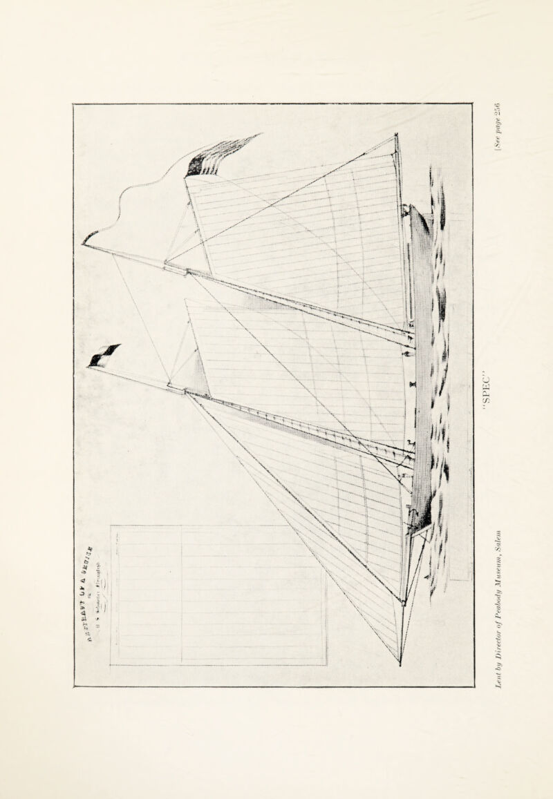 Lent by Director of Peabody Museum, Salem [See page 256