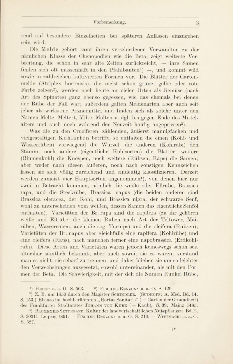 rend auf besondere Einzelheiten bei späteren Anlässen einzugehen sein wird. Die Melde gehört samt ihren verschiedenen Verwandten zu der nämlichen Klasse der Chenopodien wie die Beta, zeigt weiteste Ver¬ breitung, die schon in sehr alte Zeiten zurückreicht, — ihre Samen finden sicli oft massenhaft in den Pfahlbauten1) —, und kommt wild sowie in zahlreichen kultivierten Formen vor. Die Blätter der Garten¬ melde (Atriplex hortensis), die meist schön grüne, gelbe oder rote Farbe zeigen2), werden noch heute an vielen Orten als Gemüse (nach Art des Spinates) ganz ebenso gegessen, wie das ehemals bei denen der Rübe der Fall war; außerdem galten Meldenarten aber auch seit jeher als wirksame Arzneimittel und finden sieh als solche unter den Namen Melte, Meltert, Milte, Molten u. dgl. bis gegen Ende des Mittel¬ alters und auch noch während der Neuzeit häufig angepriesen3). Was die zu den Cruciferen zählenden, äußerst mannigfachen und vielgestaltigen Kohl arten betrifft, so entfalten die einen (Kohl- und Wasserrüben) vorwiegend die Wurzel, die anderen (Kohlrabi) den Stamm, noch andere (eigentliche Kohlsorten) die Blätter, weitere (Blumenkohl) die Knospen, noch weitere (Rübsen, Raps) die Samen; aber weder nach diesen äußeren, noch nach sonstigen Kennzeichen lassen sie sich völlig zureichend und eindeutig klassifizieren. Derzeit werden zumeist vier Hauptsorten angenommen4), von denen hier nur zwei in Betracht kommen, nämlich die weiße oder Eßrübe, Brassica rapa, und die Steckrübe, Brassica napus (die beiden anderen sind Brassica oleracea, der Kohl, und Brassica nigra, der schwarze Senf, wohl zu unterscheiden vom weißen, dessen Samen das eigentliche Senf öl enthalten). Varietäten der Br. rapa sind die rapifera (zu ihr gehören weiße und Eßrübe, die kleinen Rüben nach Art der Teltower, Mai¬ rüben, Wasserrüben, auch die sog. Turnips) und die oleifera (Rübsen); Varietäten der Br. napus aber gleichfalls eine rapifera (Kohlrübe) und eine oleifera (Raps), nach manchen ferner eine napobrassica (Erdkohl¬ rabi). Diese Arten und Varietäten waren jedoch keineswegs schon seit altersher sämtlich bekannt; aber auch soweit sie es waren, verstand man es nicht, sie scharf zu trennen, und daher blieben sie um so leichter den Verwechslungen ausgesetzt, sowohl untereinander, als mit den For¬ men der Beta. Die Schwierigkeit, mit der sich die Namen Runkel Rübe, *) Hehn: a. a. 0. S. 563. 2) Fischer-Benzon: a. a. 0. S. 129. 3) Z. B. um 1450 durch den Magister Schindler. (Sudhoff: A. Med. Bd. 14, S. 153.) Ebenso im hochberühmten „Hortus Sanitatis“ (= Garten der Gesundheit) des Frankfurter Stadtarztes Johann von Kube (= Kaub), S. 39, Mainz 1485. 4) Blomeyer-Setteoast: Kultur der landwirtschaftlichen Nutzpflanzen Bd. 2, S. 203ff. Leipzig 1891. — Fischer-Benzon: a. a. O. S. 210. — Wittmack: a. a. 0. S. 527.