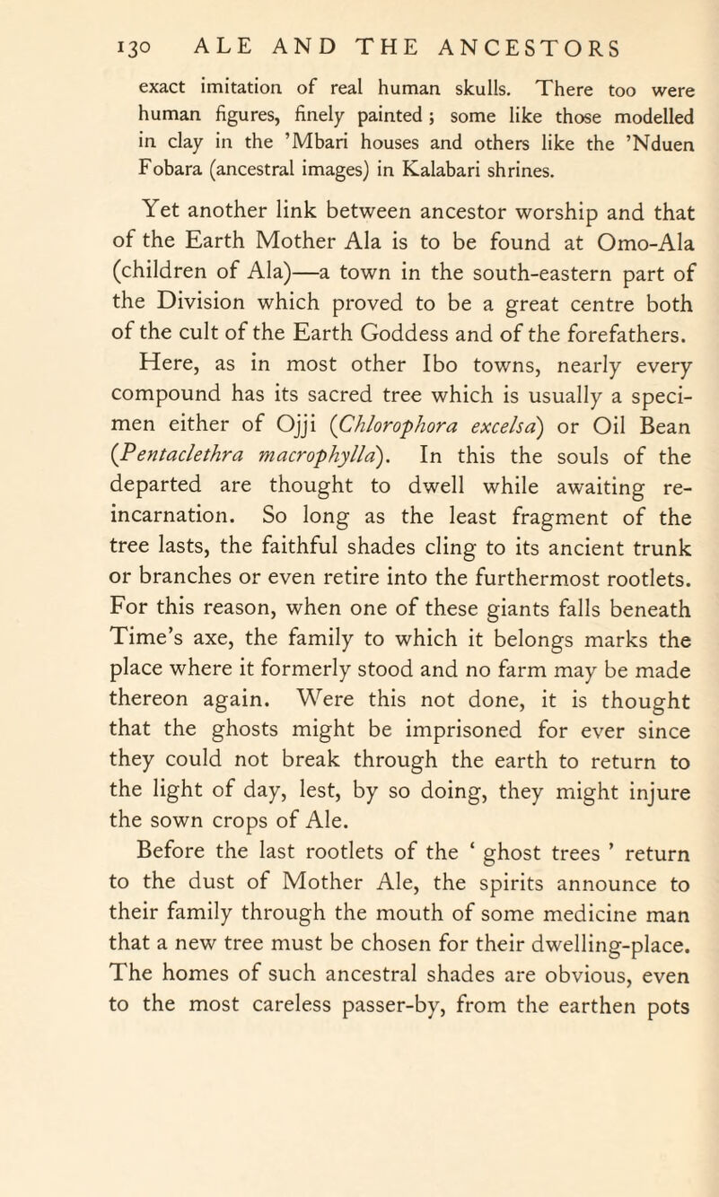 exact imitation of real human skulls. There too were human figures, finely painted ; some like those modelled in clay in the ’Mbari houses and others like the ’Nduen Fobara (ancestral images) in Kalahari shrines. Yet another link between ancestor worship and that of the Earth Mother Ala is to be found at Omo-Ala (children of Ala)—a town in the south-eastern part of the Division which proved to be a great centre both of the cult of the Earth Goddess and of the forefathers. Here, as in most other Ibo towns, nearly every compound has its sacred tree which is usually a speci¬ men either of Ojji (Chlorophora excels a) or Oil Bean (Pentaclethra macrophylla). In this the souls of the departed are thought to dwell while awaiting re¬ incarnation. So long as the least fragment of the tree lasts, the faithful shades cling to its ancient trunk or branches or even retire into the furthermost rootlets. For this reason, when one of these giants falls beneath Time’s axe, the family to which it belongs marks the place where it formerly stood and no farm may be made thereon again. Were this not done, it is thought that the ghosts might be imprisoned for ever since they could not break through the earth to return to the light of day, lest, by so doing, they might injure the sown crops of Ale. Before the last rootlets of the ‘ ghost trees ’ return to the dust of Mother Ale, the spirits announce to their family through the mouth of some medicine man that a new tree must be chosen for their dwelling-place. The homes of such ancestral shades are obvious, even to the most careless passer-by, from the earthen pots