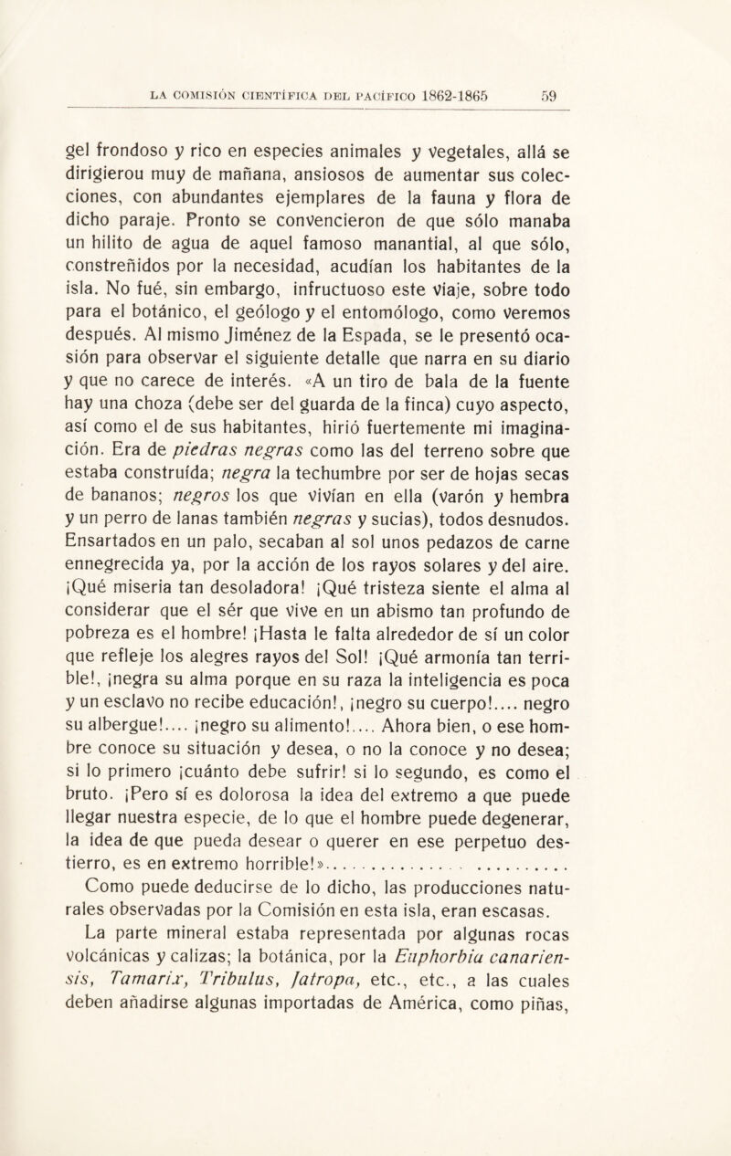 gel frondoso y rico en especies animales y vegetales, allá se dirigierou muy de mañana, ansiosos de aumentar sus colec¬ ciones, con abundantes ejemplares de la fauna y flora de dicho paraje. Pronto se convencieron de que sólo manaba un hilito de agua de aquel famoso manantial, al que sólo, constreñidos por la necesidad, acudían los habitantes de la isla. No fué, sin embargo, infructuoso este viaje, sobre todo para el botánico, el geólogo y el entomólogo, como veremos después. Al mismo Jiménez de la Espada, se le presentó oca¬ sión para observar el siguiente detalle que narra en su diario y que no carece de interés. «A un tiro de bala de la fuente hay una choza (debe ser del guarda de la finca) cuyo aspecto, así como el de sus habitantes, hirió fuertemente mi imagina¬ ción. Era de piedras negras como las del terreno sobre que estaba construida; negra la techumbre por ser de hojas secas de bananos; negros los que vivían en ella (varón y hembra y un perro de lanas también negras y sucias), todos desnudos. Ensartados en un palo, secaban al sol unos pedazos de carne ennegrecida ya, por la acción de los rayos solares y del aire. ¡Qué miseria tan desoladora! ¡Qué tristeza siente el alma al considerar que el sér que vive en un abismo tan profundo de pobreza es el hombre! ¡Hasta le falta alrededor de sí un color que refleje los alegres rayos del Sol! ¡Qué armonía tan terri¬ ble!, ¡negra su alma porque en su raza la inteligencia es poca y un esclavo no recibe educación!, ¡negro su cuerpo!.... negro su albergue!.... ¡negro su alimento!.... Ahora bien, o ese hom¬ bre conoce su situación y desea, o no la conoce y no desea; si lo primero ¡cuánto debe sufrir! si lo segundo, es como el bruto. ¡Pero sí es dolorosa 1a idea del extremo a que puede llegar nuestra especie, de lo que el hombre puede degenerar, la idea de que pueda desear o querer en ese perpetuo des¬ tierro, es en extremo horrible!». Como puede deducirse de lo dicho, las producciones natu¬ rales observadas por la Comisión en esta isla, eran escasas. La parte mineral estaba representada por algunas rocas volcánicas y calizas; la botánica, por la Enphorbia canarien- sis} Tamarix, Tribulus, /atropa, etc., etc., a las cuales deben añadirse algunas importadas de América, como piñas,