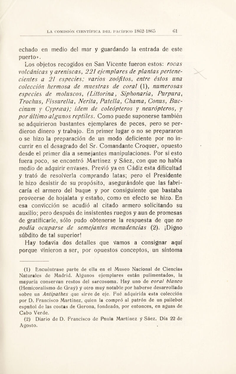 echado en medio del mar y guardando la entrada de este puerto». Los objetos recogidos en San Vicente fueron estos: rocas volcánicas y areniscas} 221 ejemplares de plantas pertene¬ cientes a 21 especies; varios zoófitos, entre éstos una colección hermosa de maestras de coral (1), numerosas especies de moluscos, (Littorina, Siphonaria, Purpura} Trochus, Fissurella, Nerita, Patella} Chama, Conusf Buc- cinum y Cyprcea); ídem de coleópteros y neurópteros, y por último algunos reptiles. Como puede suponerse también se adquirieron bastantes ejemplares de peces, pero se per¬ dieron dinero y trabajo. En primer lugar o no se prepararon o se hizo la preparación de un modo deficiente por no in¬ currir en el desagrado del Sr. Comandante Croquer, opuesto desde el primer día a semejantes manipulaciones. Por si esto fuera poco, se encontró Martínez y Sáez, con que no había medio de adquirir envases. Previo ya en Cádiz esta dificultad y trató de resolverla comprando latas; pero el Presidente le hizo desistir de su propósito, asegurándole que las fabri¬ caría el armero del buque y por consiguiente que bastaba proveerse de hojalata y estaño, como en efecto se hizo. En esa convicción se acudió al citado armero solicitando su auxilio; pero después de insistentes ruegos y aun de promesas de gratificarle, sólo pudo obtenerse la respuesta de que no podía ocuparse de semejantes menudencias (2). ¡Digno súbdito de tal superior! Hay todavía dos detalles que Vamos a consignar aquí porque vinieron a ser, por opuestos conceptos, un síntoma (1) Encuéntrase parte de ella en el Museo Nacional de Ciencias Naturales de Madrid. Algunos ejemplares están pulimentados, la mayoría conservan restos del sarcosoma. Hay uno de cora! blanco (Hemicoralismo de Qray) y otro muy notable por haberse desarrollado sobre un Antipathes que sirve de eje. Fué adquirida esta colección por D. Francisco Martínez, quien la compró al patrón de un pailebot español de las costas de Gerona, fondeado, por entonces, en aguas de Cabo Verde. (2) Diario de D. Francisco de Paula Martínez y Sáez. Día 22 de Agosto.