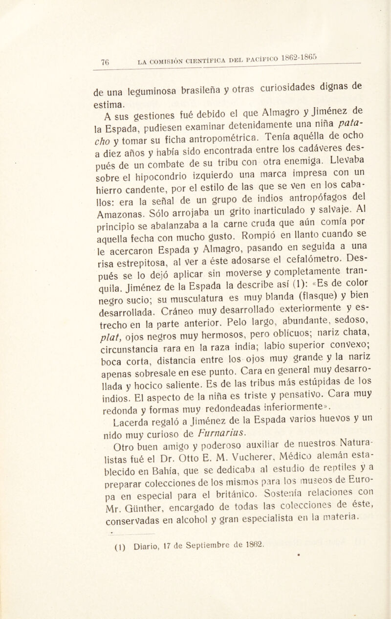 de una leguminosa brasileña y otras curiosidades dignas de A sus gestiones fué debido el que Almagro y Jiménez d^ la Espada, pudiesen examinar detenidamente una niña pata¬ cho y tomar su ficha antropométrica. Tenía aquélla de ocho a diez años y había sido encontrada entre los cadáveres des¬ pués de un combate de su tribu con otra enemiga. Llevaba sobre el hipocondrio izquierdo una marca impresa con un hierro candente, por el estilo de las que se ven en los caba¬ llos: era la señal de un grupo de indios antropófagos del Amazonas. Sólo arrojaba un grito inarticulado y salvaje. Al principio se abalanzaba a la carne cruda que aún comía por aquella fecha con mucho gusto. Rompió en llanto cuando se le acercaron Espada y Almagro, pasando en seguida a una risa estrepitosa, al ver a éste adosarse el cefalómetro. Des¬ pués se lo dejó aplicar sin moverse y completamente tran¬ quila. Jiménez de la Espada la describe así (1): «Es de color negro sucio; su musculatura es muy blanda (flasque) y bien desarrollada. Cráneo muy desarrollado exteriormente y es¬ trecho en la parte anterior. Pelo largo, abundante, sedoso, plat, ojos negros muy hermosos, pero oblicuos; nariz chata, circunstancia rara en la raza india; labio superior convexo; boca corta, distancia entre los ojos muy grande y la nariz apenas sobresale en ese punto. Cara en general muy desarro¬ llada y hocico saliente. Es de las tribus más estúpidas de los indios. El aspecto de la niña es triste y pensativo. Cara muy redonda y formas muy redondeadas interiormente». Lacerda regaló a Jiménez de la Espada varios huevos y un nido muy curioso de Furnanus. Otro buen amigo y poderoso auxiliar de nuestros Natura¬ listas fué el Dr. Ótto E. M. Vucherer, Médico alemán esta¬ blecido en Bahía, que se dedicaba al estudio de reptiles y a preparar colecciones de los mismos para los museos de Euro¬ pa en especial para el británico. Sostenía relaciones con Mr. Günther, encargado de todas las colecciones de éste, conservadas en alcohol y gran especialista en la materia. (1) Diario, 17 de Septiembre de 1862.