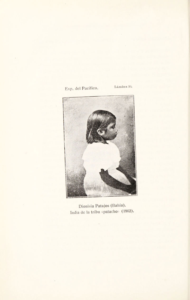 Exp. del Pacífico Lámina 10, - ' |íV:- ■■■ í ' Dionisia Patajos (Bahía). India de la tribu «patacho» (1862).