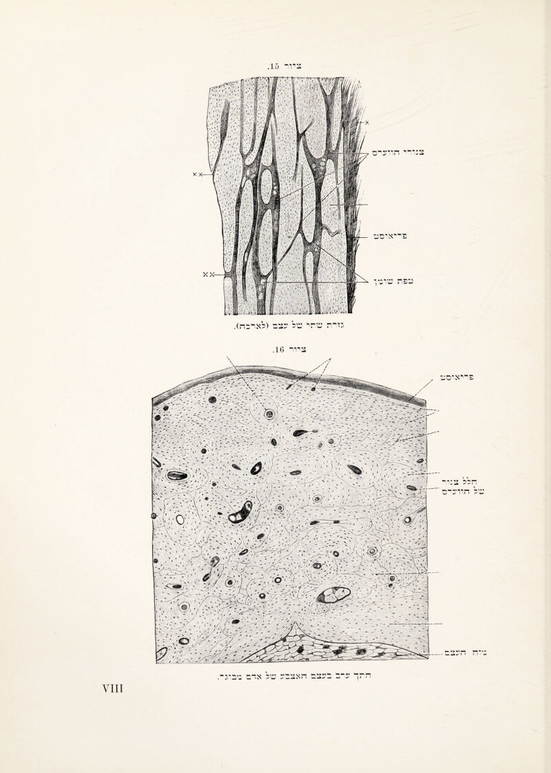 ציוד 15 צנורי דזלוערם פריאוכוש צפת שרפי ד גזית שתי של *:צ צ (לארכה). ציור 16. יסצ י יד, \, דזהל צ:רד של דיוועים ־־ ר., י ;׳ ל ל ל י - ל'> דלל - -ל^;לל¥ :■;־:ף ■יי־ ל-.־ל;. ׳־־ *ללל<לללל/; . $| ל• ל■'־ יל ־'.־■ 'יל יי־י ל לא*־• ללללל׳(• ^5?<;־■.; ל: -־- - - 7- י .(3* •ג.־ ׳, . י ■:■■׳׳-■׳ , .־ י__״־.־;-־,?-״י*י•- י: ■־!־■:ל־• ׳•0•י;!.׳* ד % • ■דלל.•. י . י ^ 7;דל•:■ <^י•;•; י  יד לד *ל ל'• # ;ל ;•לדל - ־- ״ לד ל־לללל:'•''ל'ללל־; ללל ■ 3׳'לללל :(#יללדי' י 0ל.1ל;ל ד: <¥'לל^לל• * ללל' -ל' :' ל־ * ׳--•י?, ^ •״ ׳ !/* ^ ׳. ־....... ' ״ ׳- ״ ; ל' .ל־׳' ״ .י לי.* ,ל , . י ו-' ־' לל־ :'׳לל' -ל •ל ^ • 'ל7לללי>-.-ד , ., .*ד •״ ־;,די- ־/׳ל-לדל־־ד י ־ /' ־׳-/.•׳ ,ל ׳ י ^ .*״•׳־ - • • ׳• ־ל-לללל ״• - - ׳'■יל* - , *-־■  :;^״ ׳׳; ;-ללד< ד;/- ׳.✓ - ? ׳ ./< י׳, - * ■* ׳* ה , /׳■לי י ־ - ׳ ד • ־- * : ¥/' ■׳, ' : * /ל ׳ /ל ל/ לדד;;ל ליל יל' - ל / - ערב בעצת תאצב־ב של אדת ניב־גל ¥111