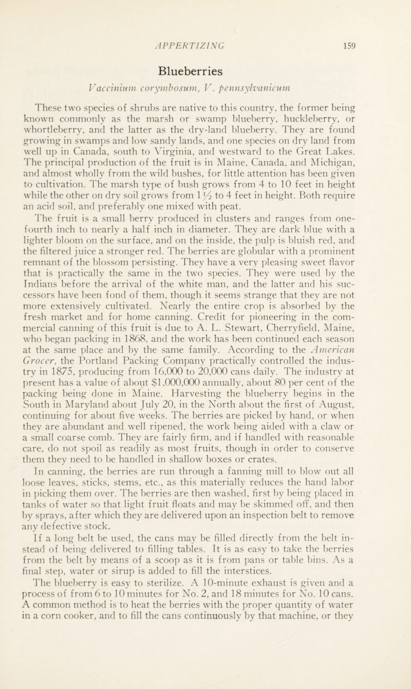 Blueberries Vacciiiimu coryDibosum, V. pcnnsylvauicuin These two species of shru1)s are native to this country, the former being known commonly as the marsh or swamp l)hieherry, hncklel)erry, or whortleberry, and the latter as the dry-land hlneherry. They are found growing in swamps and low sandy lands, and one s]:)ecies on dry land from well u]) in Canada, south to \drginia, and westward to the Great Lakes, ddie princi])al ])roduction of the fruit is in Maine, Canada, and Michigan, and almost wholly from the wild hushes, for little attention has been given to cultivation, ddie marsh type of bush grows from 4 to 10 feet in height while the other on dry soil grows from 1 ^ to 4 feet in height. Roth require an acid soil, and ])referably one mixed with peat. The fruit is a small berry produced in clusters and ranges from one- fourth inch to iiearly a half inch in diameter. They are dark blue with a lighter bloom on the surface, and on the inside, the pulp is bluish red, and the filtered juice a stronger red. The berries are globular with a prominent remnant of the blossom persisting. They have a very pleasing sweet flavor that is ])ractically the same in the two species. They were used by the Indians before the arrival of the white man, and the latter and his suc¬ cessors have been fond of them, though it seems strange that they are not more extensively cultivated. Nearly the entire crop is absorbed by the fresh market and for home canning. Credit for pioneering in the com¬ mercial canning of this fruit is due to A. L. Stewart, Cherryfield, Maine, who began packing in 1868, and the work has been continued each season at the same place and by the same family. According to the American Grocer, the Portland Packing Com])any practically controlled the indus¬ try in 1875, ])roducing from 16,000 to 20,000 cans daily. The industry at present has a value of about $1,000,000 annually, al)out 80 per cent of the packing being done in Maine. Harvesting the blueberry begins in the South in Maryland about July 20, in the North al)out the first of August, continuing for about five weeks. The berries are picked by hand, or when they are abundant and well ri])ened, the work being aided with a claw or a small coarse comb. They are fairly firm, and if handled with reasonable care, do not s])oil as readily as most fruits, though in order to conserve them they need to be handled in shallow boxes or crates. In canning, the l)erries are run through a fanning mill to blow out all loose leaves, sticks, stems, etc., as this materially reduces the hand labor in ])icking them over. The berries are then washed, first by being placed in tanks of water so that light fruit floats and may be skimmed ofif, and then by sprays, after which they are delivered upon an inspection belt to remove any defective stock. If a long belt be used, the cans may be filled directly from the belt in¬ stead of being delivered to filling tables. It is as easy to take the berries from the belt by means of a scoop as it is from ])ans or table bins. As a final step, water or sirup is added to fill the interstices. The blueberry is easy to sterilize. A 10-minute exhaust is given and a process of from 6 to 10 minutes for No. 2, and 18 minutes for No. 10 cans. A common method is to heat the berries with the proper quantity of water in a corn cooker, and to fill the cans continuously by that machine, or they