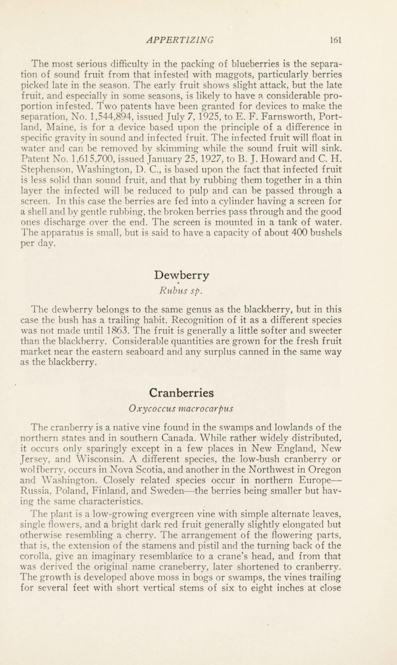 The most serious difficulty in the packing of blueberries is the separa¬ tion of sound fruit from that infested with maggots, particularly berries picked late in the season. The early fruit shows slight attack, but the late fruit, and especially in some seasons, is likely to have a considerable pro¬ portion infested. Two patents have been granted for devices to make the separation, No. 1,544,894, issued July 7, 1925, to E. F. Farnsworth, Port¬ land, Maine, is for a device based upon the principle of a difference in specific gravity in sound and infected fruit. The infected fruit will float in water and can be removed by skimming while the sound fruit will sink. Patent No. 1,615,700, issued January 25, 1927, to B. J. Howard and C. H. Stephenson, Washington, D. C., is based upon the fact that infected fruit is less solid than sound fruit, and that by rubbing them together in a thin layer the infected will be reduced to pulp and can be passed through a screen. In this case the berries are fed into a cylinder having a screen for a shell and by gentle rubbing, the broken berries pass through and the good ones discharge over the end. The screen is mounted in a tank of water. The apparatus is small, but is said to have a capacity of about 400 bushels per day. Dewberry Ruhus sp. The dewberry belongs to the same genus as the blackberry, but in this case the bush has a trailing habit. Recognition of it as a different species was not made until 1863. The fruit is generally a little softer and sweeter than the blackberry. Considerable quantities are grown for the fresh fruit market near the eastern seaboard and any surplus canned in the same way as the blackberry. Cranberries Oxycoccus macrocarpus The cranberry is a native vine found in the swamps and lowlands of the northern states and in southern Canada. While rather widely distributed, it occurs only sparingly except in a few places in New England, New Jersey, and Wisconsin. A different species, the low-bush cranberry or wolf berry, occurs in Nova Scotia, and another in the Northwest in Oregon and AVashington. Closely related species occur in northern Europe—• Russia, Poland, Finland, and Sweden—the berries being smaller but hav¬ ing the same characteristics. The plant is a low-growing evergreen vine with simple alternate leaves, single flowers, and a bright dark red fruit generally slightly elongated but otherwise resembling a cherry. The arrangement of the flowering parts, that is, the extension of the stamens and pistil and the turning back of the corolla, give an imaginary resemblance to a crane’s head, and from that was derived the original name craneberry, later shortened to cranberry. The growth is developed above moss in bogs or swamps, the vines trailing for several feet with short vertical stems of six to eight inches at close