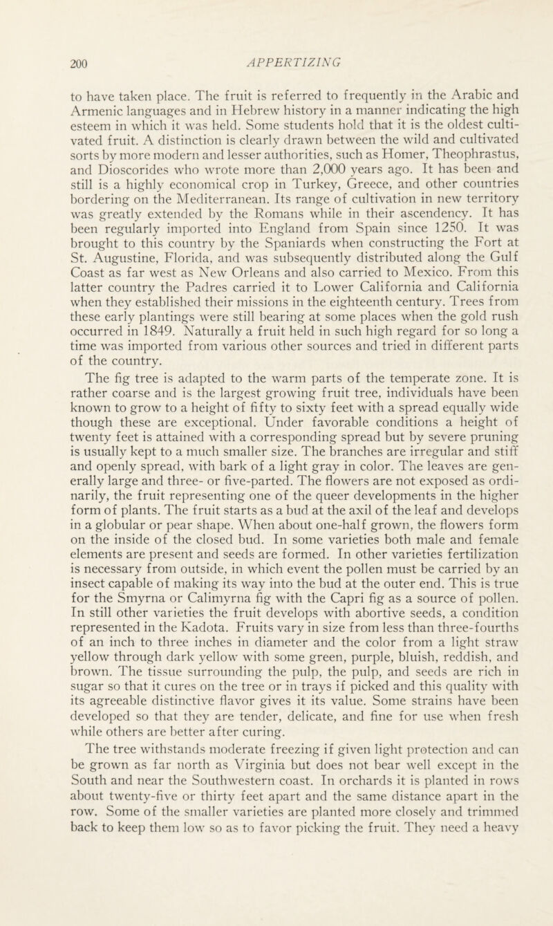 to have taken place. The fruit is referred to frequently in the Arabic and Armenic languages and in Hebrew history in a manner indicating the high esteem in which it was held. Some students hold that it is the oldest culti¬ vated fruit. A distinction is clearly drawn between the wild and cultivated sorts by more modern and lesser authorities, such as Homer, Theophrastus, and Dioscorides who wrote more than 2,000 years ago. It has been and still is a highly economical crop in Turkey, Greece, and other countries bordering on the Mediterranean. Its range of cultivation in new territory was greatly extended by the Romans while in their ascendency. It has been regularly imported into England from Spain since 1250. It was brought to this country by the Spaniards when constructing the Fort at St. Augustine, Florida, and was subsequently distributed along the Gulf Coast as far west as New Orleans and also carried to Mexico. From this latter country the Padres carried it to Power California and California when they established their missions in the eighteenth century. Trees from these early plantings were still bearing at some places when the gold rush occurred in 1849. Naturally a fruit held in such high regard for so long a time was imported from various other sources and tried in different parts of the country. The fig tree is adapted to the warm parts of the temperate zone. It is rather coarse and is the largest growing fruit tree, individuals have been known to grow to a height of fifty to sixty feet with a spread equally wide though these are exceptional. Under favorable conditions a height of twenty feet is attained with a corresponding spread but by severe pruning is usually kept to a much smaller size. The branches are irregular and stiff and openly spread, with bark of a light gray in color. The leaves are gen¬ erally large and three- or five-parted. The flowers are not exposed as ordi¬ narily, the fruit representing one of the queer developments in the higher form of plants. The fruit starts as a bud at the axil of the leaf and develops in a globular or pear shape. When about one-half grown, the flowers form on the inside of the closed bud. In some varieties both male and female elements are present and seeds are formed. In other varieties fertilization is necessary from outside, in which event the pollen must be carried by an insect capable of making its way into the bud at the outer end. This is true for the Smyrna or Calimyrna fig with the Capri fig as a source of pollen. In still other varieties the fruit develops with abortive seeds, a condition represented in the Kadota. Fruits vary in size from less than three-fourths of an inch to three inches in diameter and the color from a light straw yellow through dark yellow with some green, purple, bluish, reddish, and brown. The tissue surrounding the pulp, the pulp, and seeds are rich in sugar so that it cures on the tree or in trays if picked and this quality with its agreeable distinctive flavor gives it its value. Some strains have been developed so that they are tender, delicate, and fine for use when fresh while others are better after curing. The tree withstands moderate freezing if given light protection and can be grown as far north as Virginia but does not bear well except in the South and near the Southwestern coast. In orchards it is planted in rows about twenty-five or thirty feet apart and the same distance apart in the row. Some of the smaller varieties are planted more closely and trimmed back to keep them low so as to favor picking the fruit. They need a heavy