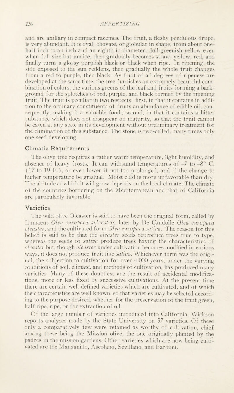 and are axillary in compact racemes. The fruit, a fleshy pendulous drui)e, is very ahundant. It is oval, ohovate, or globular in shape, from about one- half inch to an inch and an eighth in diameter, dull greenish yellow even when full size hut unripe, then gradually becomes straw, yellow, red, and finally turns a glossy purplish black or black when ripe. In ripening, the side exposed to the sun reddens, then gradually the whole fruit changes from a red to purple, then black. As fruit of all degrees of ripeness are develo])ed at the same time, the tree furnishes an extremely beautiful com¬ bination of colors, the various greens of the leaf and fruits forming a back¬ ground for the splotches of red, purple, and black formed by the ripening fruit. The fruit is ])eculiar in two respects : first, in that it contains in addi¬ tion to the ordinary constituents of fruits an abundance of edible oil, con¬ sequently, making it a valuable food ; second, in that it contains a hitter substance which does not disappear on maturity, so that the fruit cannot he eaten at any state in its development without preliminary treatment for the elimination of this substance. The stone is two-celled, many times only one seed developing. Climatic Requirements The olive tree requires a rather warm temperature, light humidity, and absence of heavy frosts. It can withstand temperatures of -7 to -8° C. (17 to 19 F.), or even lower if not too prolonged, and if the change to higher temperature he gradual. Moist cold is more unfavorable than drv. The altitude at which it will grow depends on the local climate. The climate of the countries bordering on the Mediterranean and that of California are particularly favorable. Varieties The wild olive Oleaster is said to have been the original form, called by Linnaeus Olca curopaca sylvestris, later by De Candolle Olea eiiropaca oleaster, and the cultivated form Olea europaea sativa. The reason for this belief is said to he that the oleaster seeds reproduce trees true to ty])e, whereas the seeds of sativa ])roduce trees having the characteristics of oleaster hut, though oleaster under cultivation becomes modified in various ways, it does not produce fruit like sativa. Whichever form was the origi¬ nal, the subjection to cultivation for over 4,000 years, under the varying conditions of soil, climate, and methods of cultivation, has produced many varieties. Many of these doubtless are the result of accidental modifica¬ tions, more or less fixed by successive cultivations. At the present time there are certain well defined varieties which are cultivated, and of which the characteristics are well known, so that varieties may he selected accord¬ ing to the purpose desired, whether for the ])reservation of the fruit green, half ripe, ripe, or for extraction of oil. Of the large number of varieties introduced into California, Wdekson re])orts analyses made by the State University on 57 varieties. Of these only a comparatively few were retained as worthy of cultivation, chief among these being the Mission olive, the one originally planted by the padres in the mission gardens. Other varieties which are now being culti¬ vated are the Manzanillo, Ascolano, Sevillano, and Harouni.