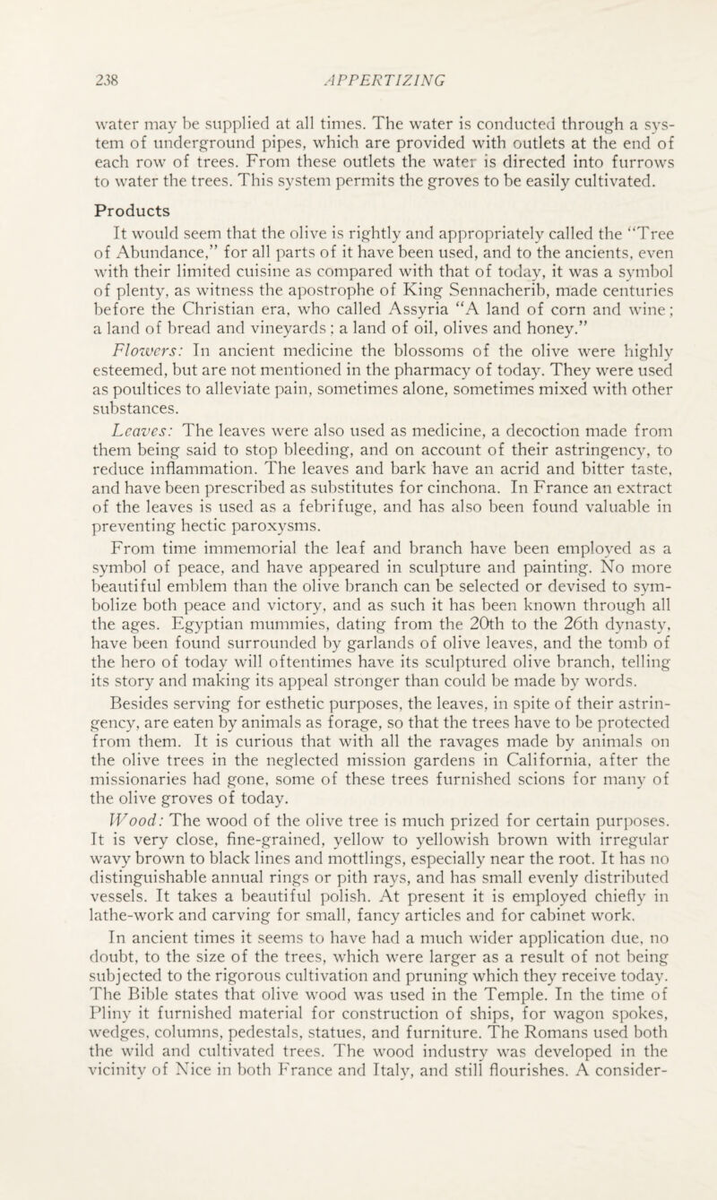 water may be supplied at all times. The water is conducted through a sys¬ tem of underground pipes, which are provided with outlets at the end of each row of trees. From these outlets the water is directed into furrows to water the trees. This system permits the groves to be easily cultivated. Products It would seem that the olive is rightly and appropriately called the “Tree of Abundance,” for all parts of it have been used, and to the ancients, even with their limited cuisine as compared with that of today, it was a symbol of plenty, as witness the apostrophe of King Sennacherib, made centuries before the Christian era, who called Assyria “A land of corn and wine; a land of bread and vineyards ; a land of oil, olives and honey.” Flozvers: In ancient medicine the blossoms of the olive were highly esteemed, but are not mentioned in the pharmacy of today. They were used as poultices to alleviate pain, sometimes alone, sometimes mixed with other substances. Leaves: The leaves were also used as medicine, a decoction made from them being said to stop bleeding, and on account of their astringency, to reduce inflammation. The leaves and bark have an acrid and bitter taste, and have been prescribed as substitutes for cinchona. In France an extract of the leaves is used as a febrifuge, and has also been found valuable in preventing hectic paroxysms. From time immemorial the leaf and branch have been employed as a symbol of peace, and have appeared in sculpture and painting. No more beautiful emblem than the olive branch can be selected or devised to svm- bolize both peace and victory, and as such it has been known through all the ages. Egyptian mummies, dating from the 20th to the 26th dynasty, have been found surrounded by garlands of olive leaves, and the tomb of the hero of today will oftentimes have its sculptured olive branch, telling its story and making its appeal stronger than could be made by words. Besides serving for esthetic purposes, the leaves, in spite of their astrin¬ gency, are eaten by animals as forage, so that the trees have to be protected from them. It is curious that with all the ravages made by animals on the olive trees in the neglected mission gardens in California, after the missionaries had gone, some of these trees furnished scions for many of the olive groves of today. Wood: The wood of the olive tree is much prized for certain purposes. It is very close, fine-grained, yellow to yellowish brown with irregular wavy brown to black lines and mottlings, especially near the root. It has no distinguishable annual rings or pith rays, and has small evenly distributed vessels. It takes a beautiful polish. At present it is employed chiefly in lathe-work and carving for small, fancy articles and for cabinet work. In ancient times it seems to have had a much wider application due, no doubt, to the size of the trees, which were larger as a result of not being subjected to the rigorous cultivation and pruning which they receive today. The Bible states that olive wood was used in the Temple. In the time of Pliny it furnished material for construction of ships, for wagon spokes, wedges, columns, pedestals, statues, and furniture. The Romans used both the wild and cultivated trees. The wood industry was developed in the vicinity of Nice in both France and Italy, and still flourishes. A consider-