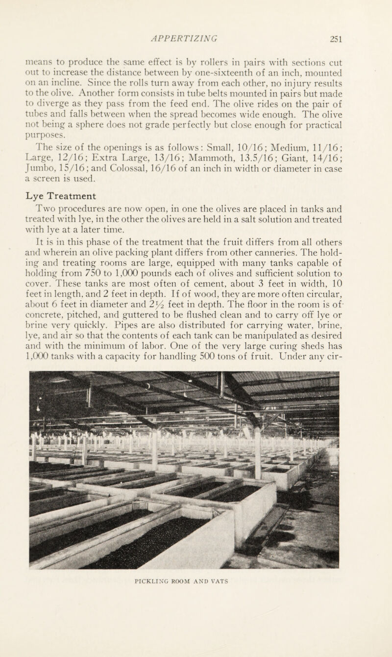 means to ])rocluce the same effect is by rollers in ])airs with sections cut out to increase the distance between by one-sixteenth of an inch, mounted on an incline. Since the rolls turn away from each other, no injury results to the olive. Another form consists in tube belts mounted in pairs but made to diverge as they pass from the feed end. The olive rides on the pair of tubes and falls between when the spread becomes wide enough. The olive not being a sphere does not grade perfectly but close enough for practical jmrposes. The size of the openings is as follows: Small, 10/16; Medium, 11/16; Large, 12/16; Extra Large, 13/16; Mammoth, 13.5/16; Giant, 14/16; Jumbo, 15/16; and Colossal, 16/16 of an inch in width or diameter in case a screen is used. Lye Treatment Two procedures are now open, in one the olives are placed in tanks and treated with lye, in the other the olives are held in a salt solution and treated with lye at a later time. It is in this phase of the treatment that the fruit differs from all others and wherein an olive packing plant differs from other canneries. The hold¬ ing and treating rooms are large, equipped with many tanks capable of holding from 750 to 1,000 pounds each of olives and sufficient solution to cover. These tanks are most often of cement, about 3 feet in width, 10 feet in length, and 2 feet in depth. If of wood, they are more often circular, about 6 feet in diameter and 2/^ feet in depth. The floor in the room is of- concrete, pitched, and guttered to be flushed clean and to carry off lye or brine very quickly. Pipes are also distributed for carrying water, brine, lye, and air so that the contents of each tank can be manipulated as desired and with the minimum of labor. One of the very large curing sheds has 1,000 tanks with a capacity for handling 500 tons of fruit. Under any cir- PICKLIXG ROOM AND VATS