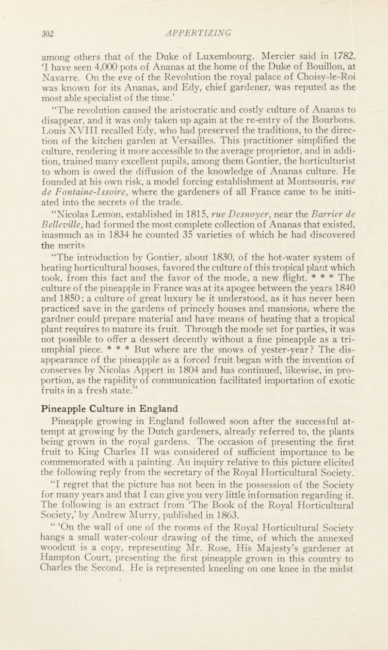 among others that of the Duke of Luxembourg. Mercier said in 1782, ‘I have seen 4,000 pots of Ananas at the home of the Duke of Bouillon, at Navarre. On the eve of the Revolution the royal palace of Choisy-le-Roi was known for its Ananas, and Edy, chief gardener, was reputed as the most able specialist of the time.’ “The revolution caused the aristocratic and costly culture of Ananas to disappear, and it was only taken up again at the re-entry of the Bourbons. Louis XVIII recalled Edy, who had preserved the traditions, to the direc¬ tion of the kitchen garden at Versailles. This practitioner simplified the culture, rendering it more accessible to the average proprietor, and in addi¬ tion, trained many excellent pupils, among them Gontier, the horticulturist to whom is owed the diffusion of the knowledge of Ananas culture. He founded at his own risk, a model forcing establishment at Montsouris, me de Fontaine-Issoire, where the gardeners of all Erance came to be initi¬ ated into the secrets of the trade. “Nicolas Lemon, established in 1815, rue Desnoyer, near the Barrier de Belleville, had formed the most complete collection of Ananas that existed, inasmuch as in 1834 he counted 35 varieties of which he had discovered the merits “The introduction by Gontier, about 1830, of the hot-water system of heating horticultural houses, favored the culture of this tropical plant which took, from this fact and the favor of the mode, a new flight. * * * The culture of the pineapple in Erance was at its apogee between the years 1840 and 1850; a culture of great luxury be it understood, as it has never been practiced save in the gardens of princely houses and mansions, where the gardner could prepare material and have means of heating that a tropical plant requires to mature its fruit. Through the mode set for parties, it was not possible to offer a dessert decently without a fine pineapple as a tri- umphial piece. * * * But where are the snows of yester-year? The dis¬ appearance of the pineapple as a forced fruit began with the invention of conserves by Nicolas Appert in 1804 and has continued, likewise, in pro¬ portion, as the rapidity of communication facilitated importation of exotic fruits in a fresh state.” Pineapple Culture in England Pineapple growing in England followed soon after the successful at¬ tempt at growing by the Dutch gardeners, already referred to, the plants being grown in the royal gardens. The occasion of presenting the first fruit to King Charles II was considered of sufficient importance to be commemorated with a painting. An inquiry relative to this picture elicited the following reply from the secretary of the Royal Horticultural Society. “I regret that the picture has not been in the possession of the Society for many years and that I can give you very little information regarding it. The following is an extract from ‘The Book of the Royal Horticultural Society,’ by Andrew Murry, published in 1863. “ ‘On the wall of one of the rooms of the Royal Horticultural Society hangs a small water-colour drawing of the time, of which the annexed woodcut is a copy, representing Mr. Rose, His Majesty’s gardener at Hampton Court, presenting the first pineapple grown in this country to Charles the Second. He is represented kneeling on one knee in the midst